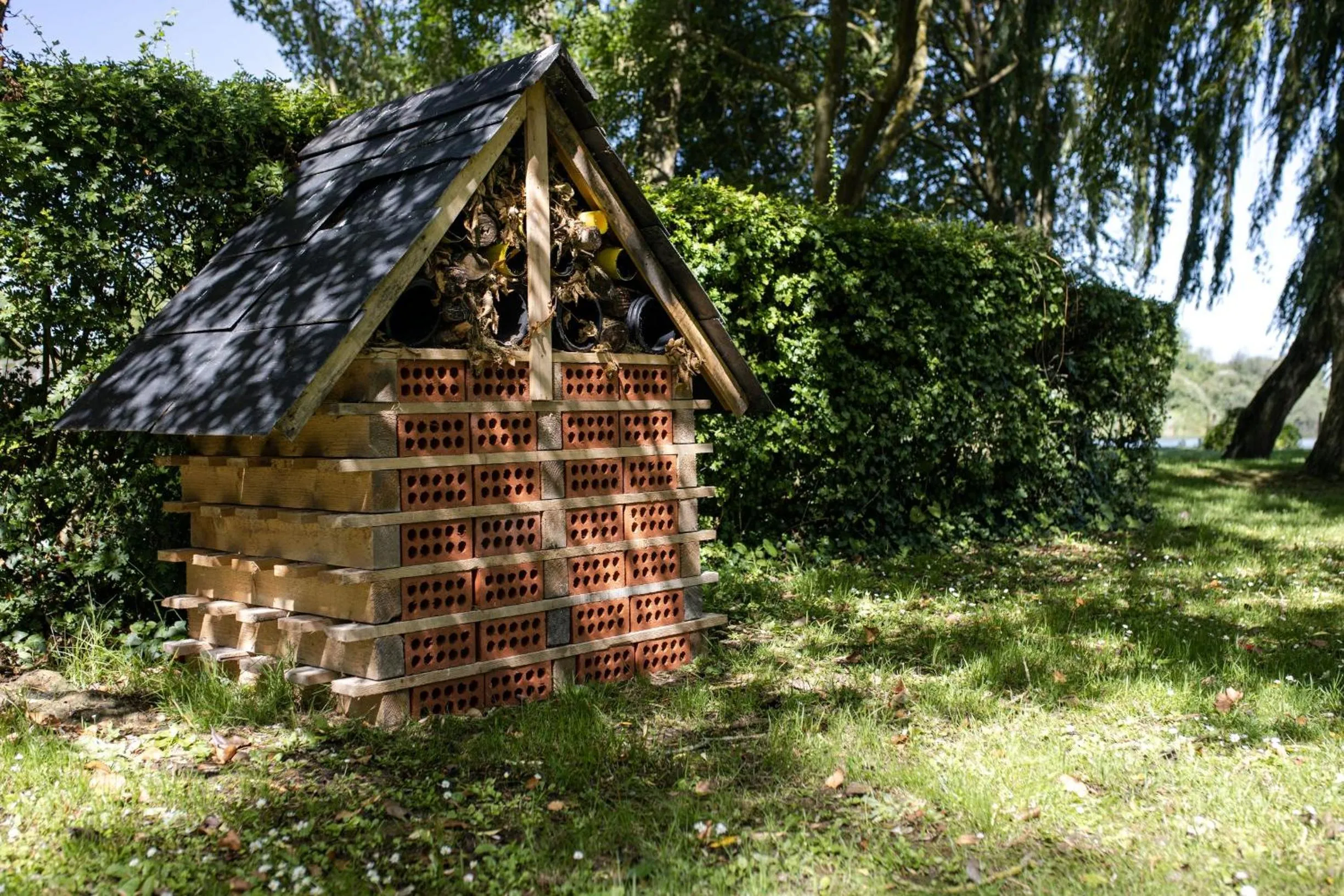 Garden in voco Oxford Thames by IHG