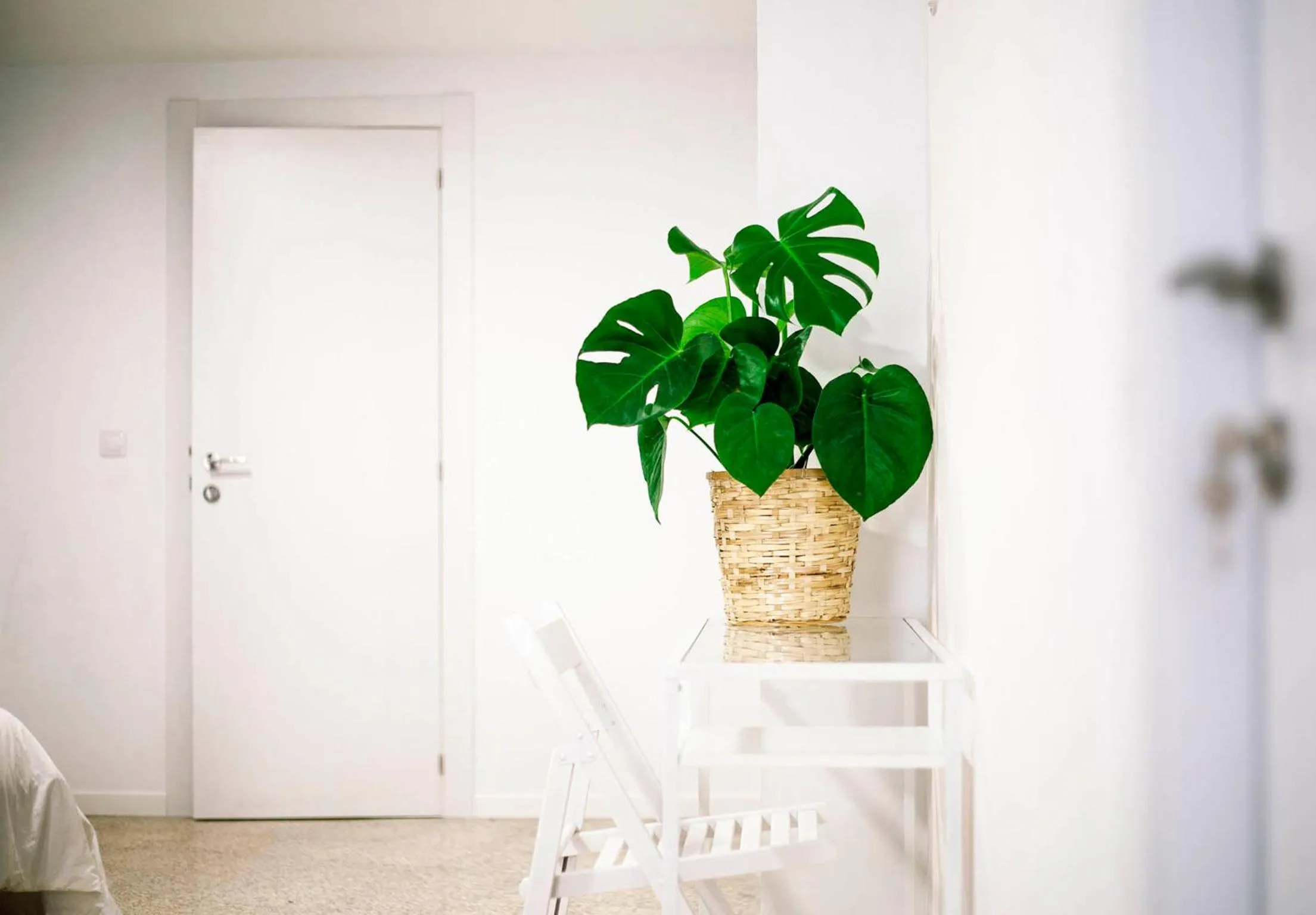 Decorative detail in B&B El Mercat