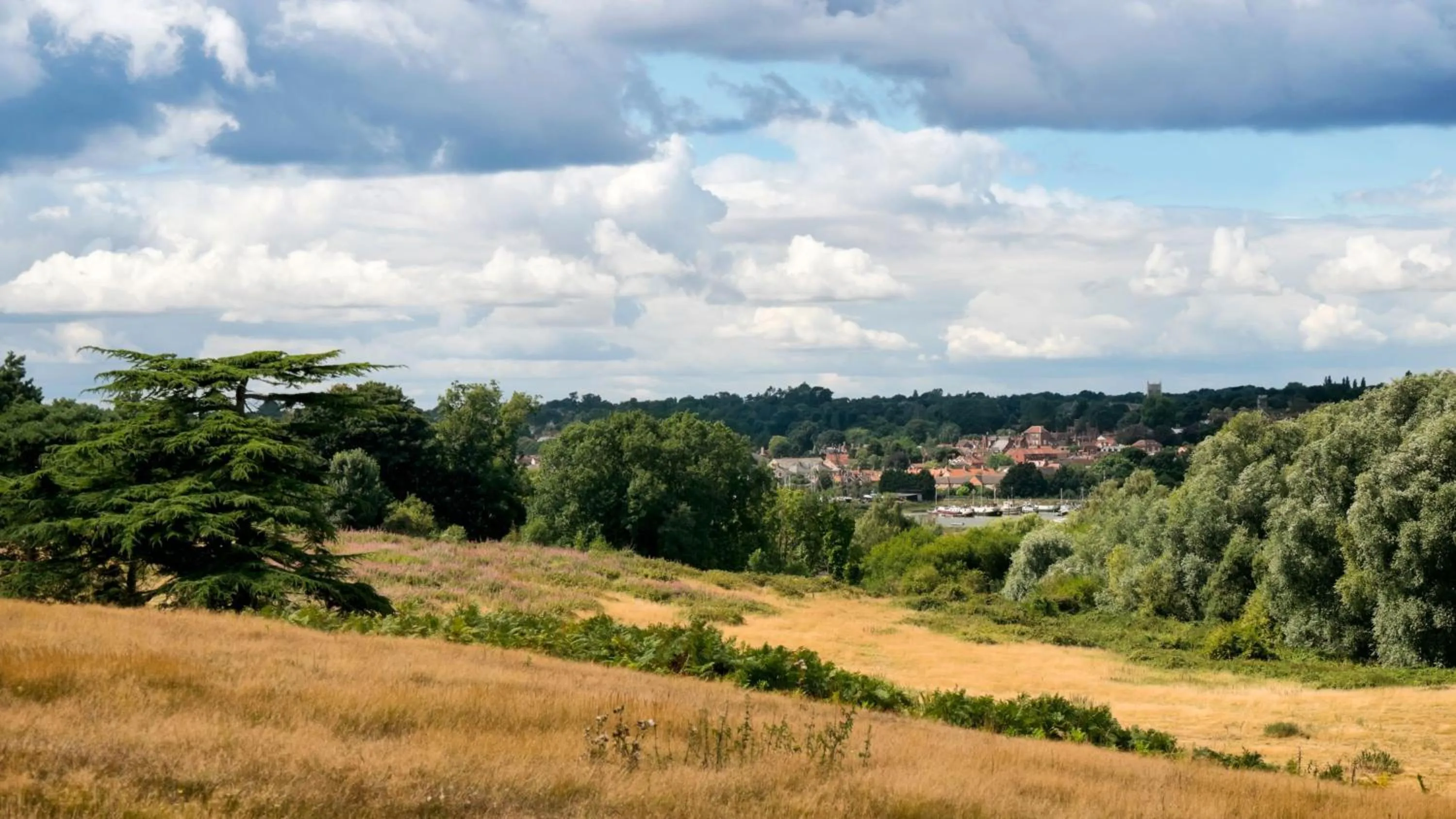 Nearby landmark in Holiday Inn Ipswich Orwell by IHG