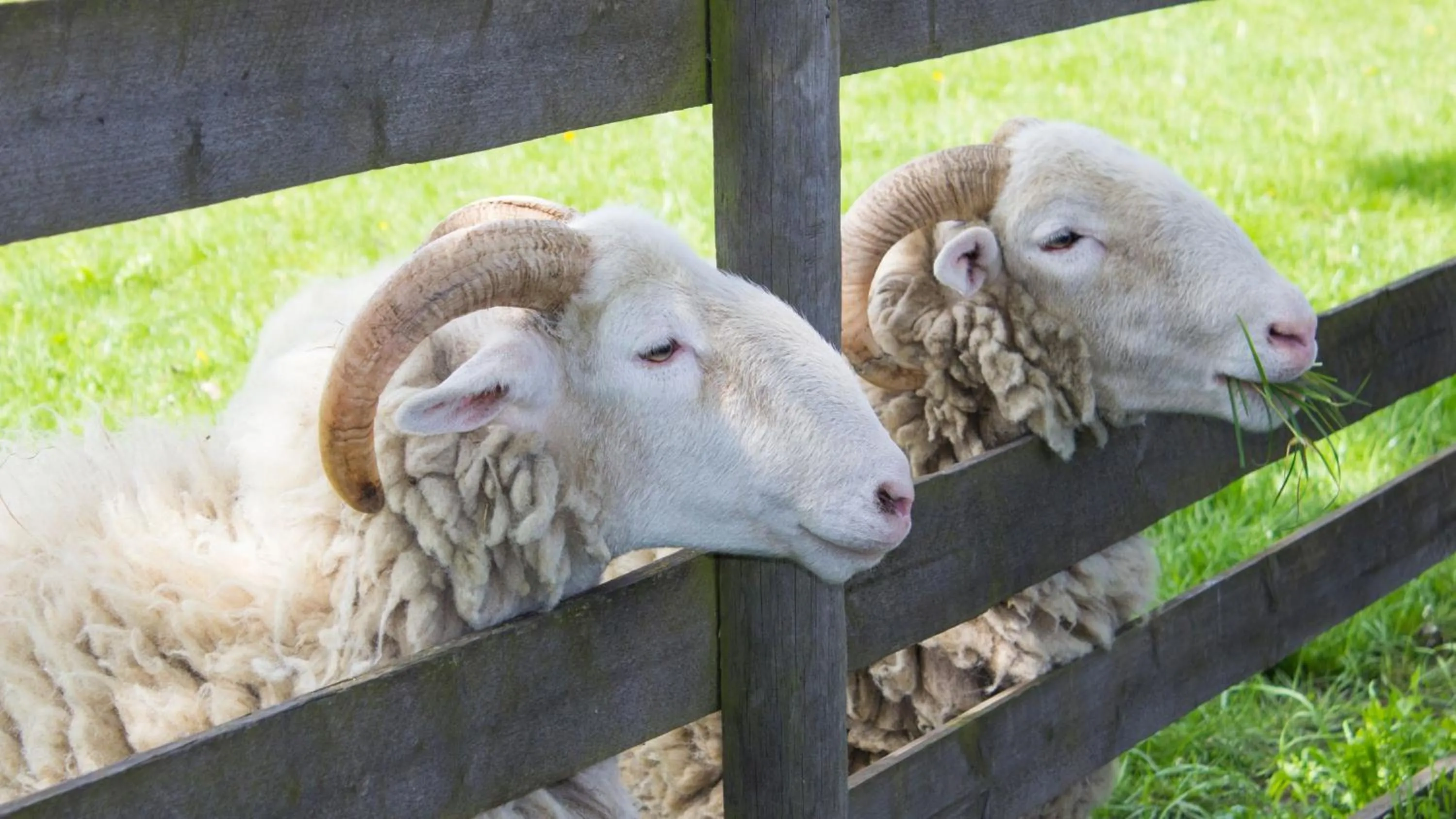 Nearby landmark in Holiday Inn Ipswich Orwell by IHG