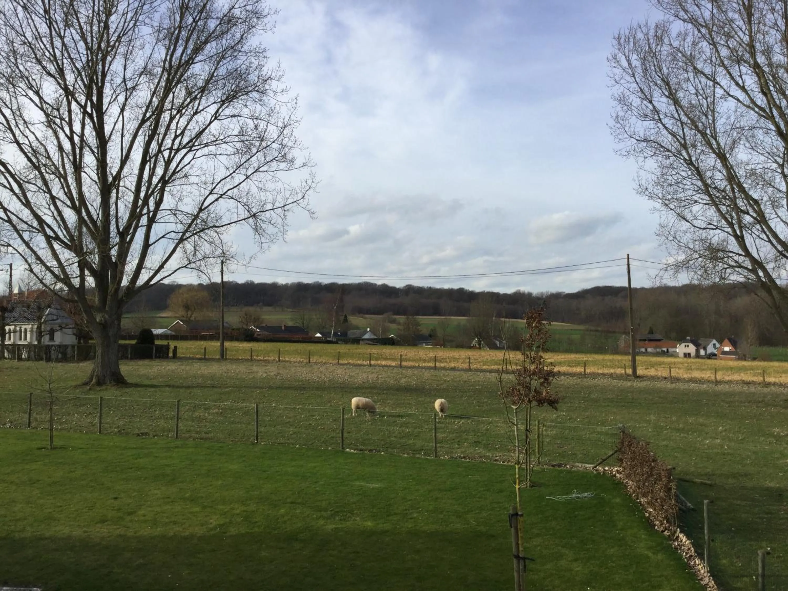 Garden view in B&B 22