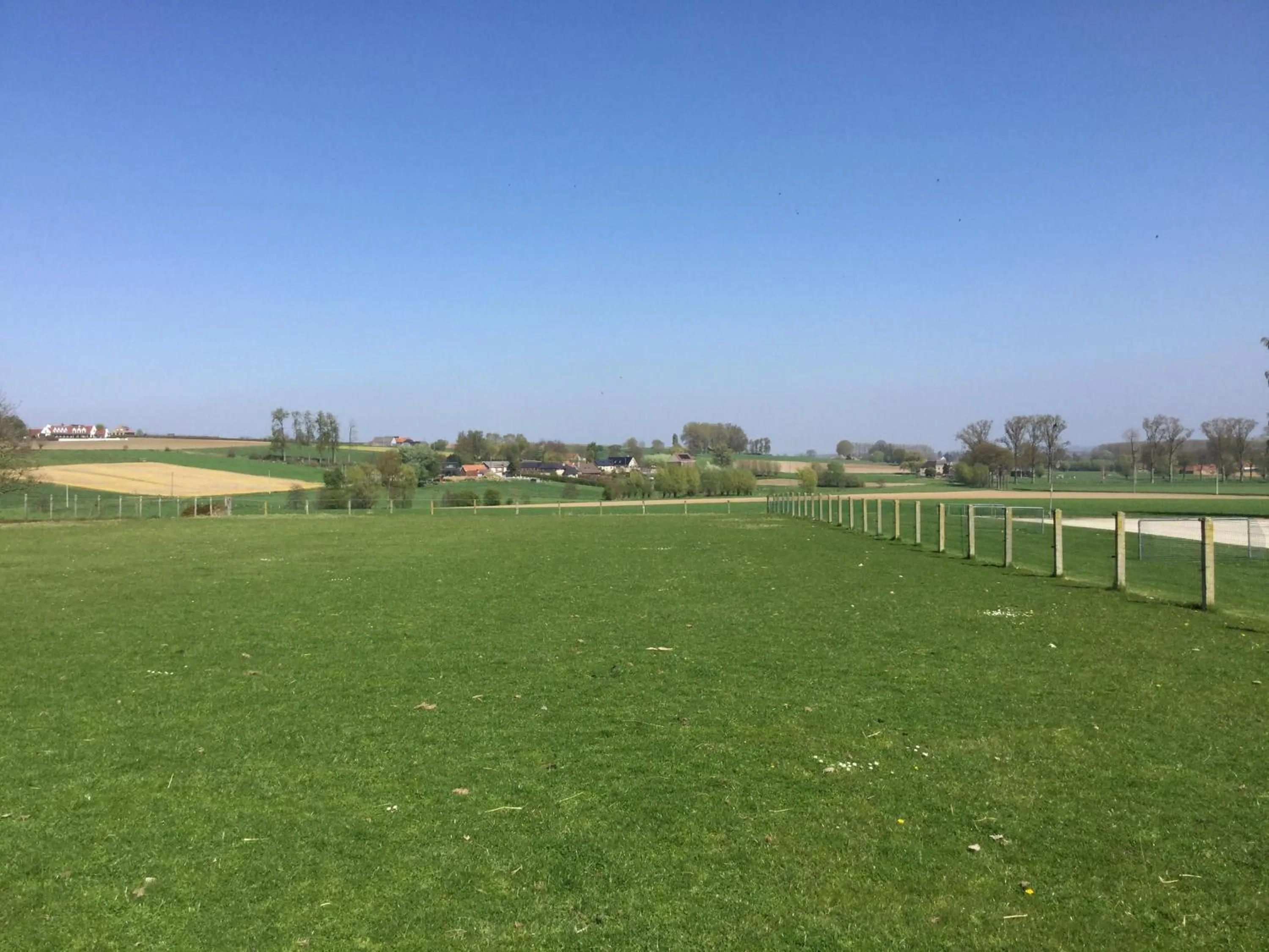 Garden view in B&B 22