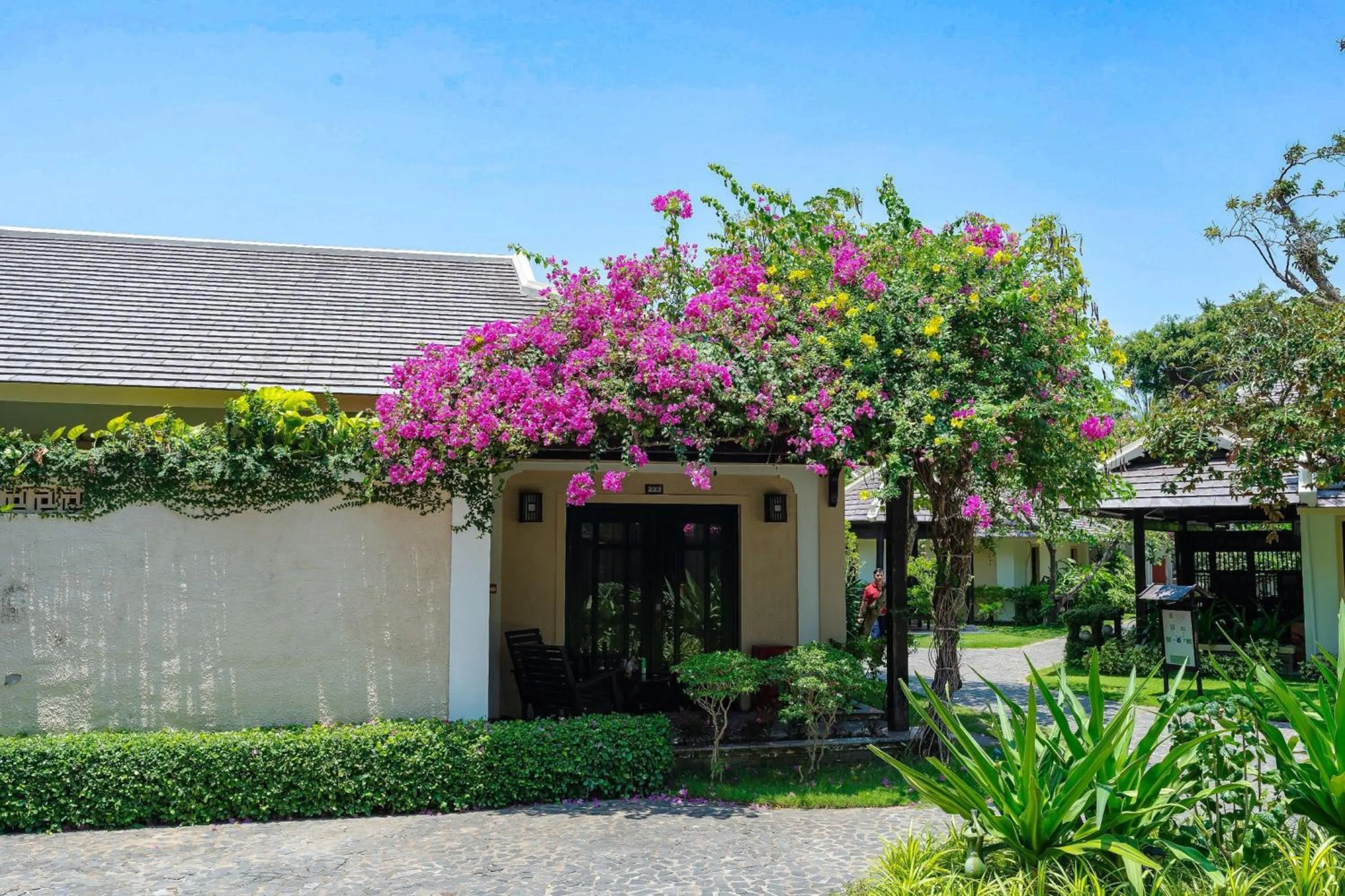 Natural landscape in Anja Beach Resort & Spa