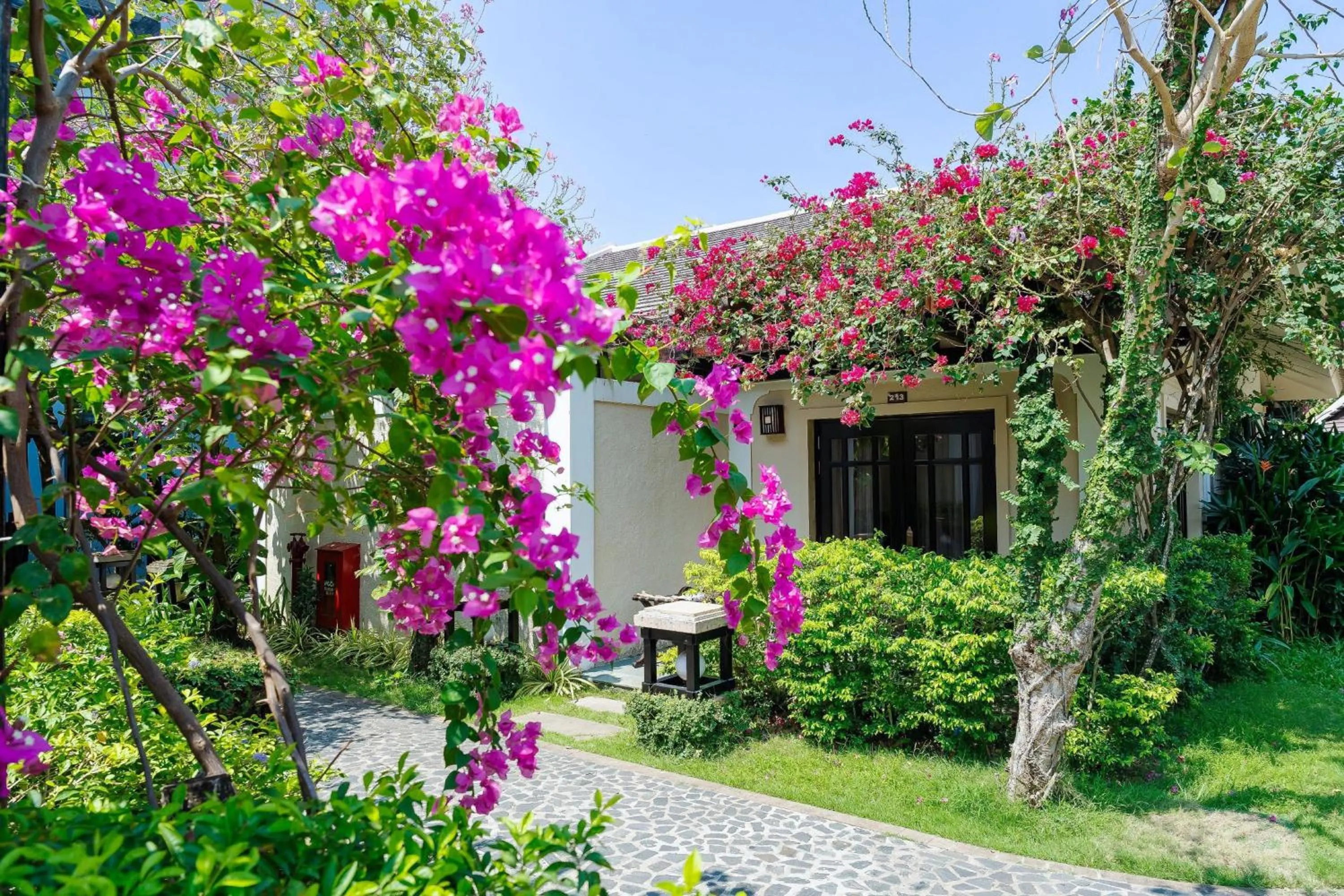 Natural landscape in Anja Beach Resort & Spa