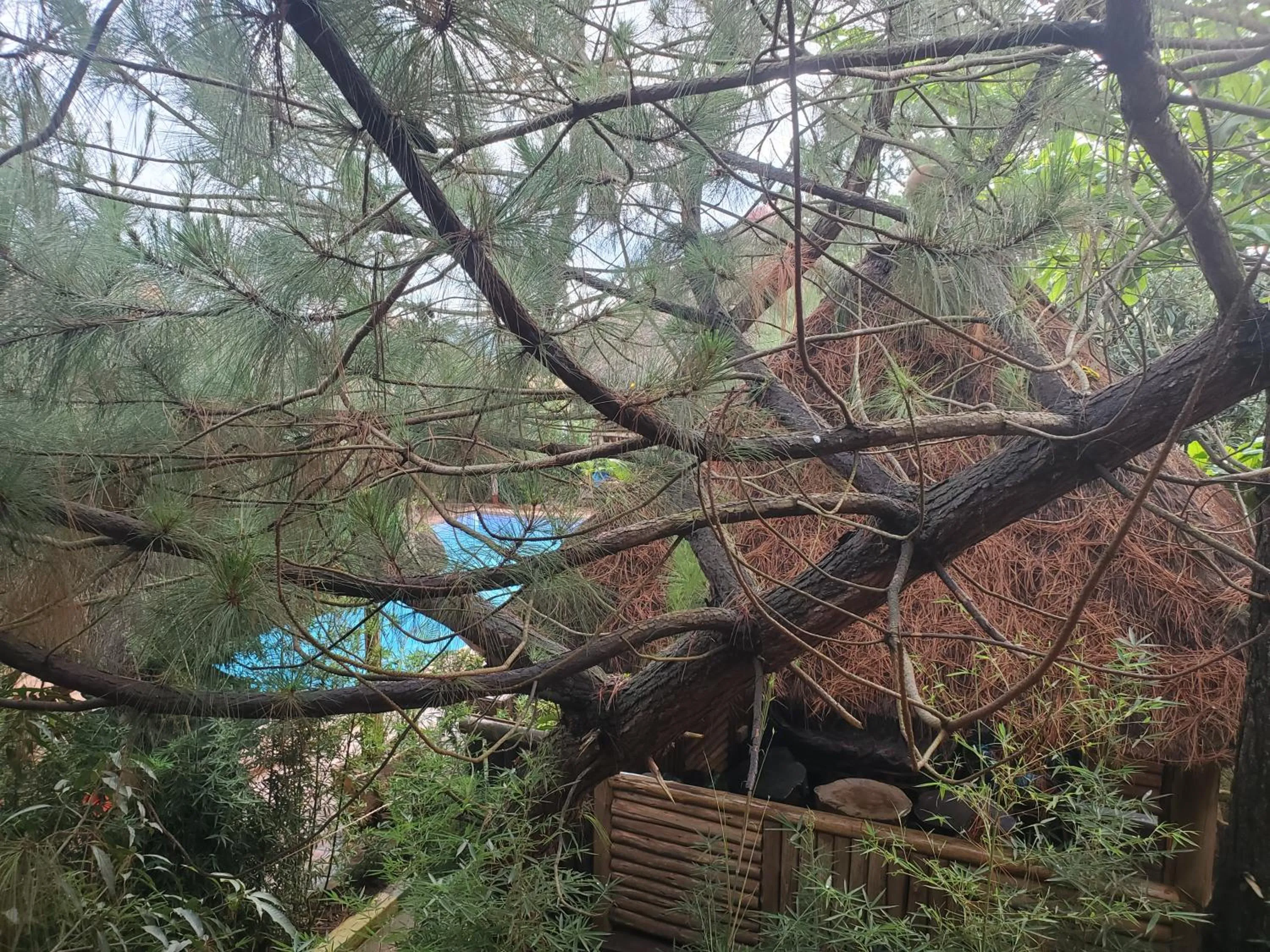 Elite Backpackers Services