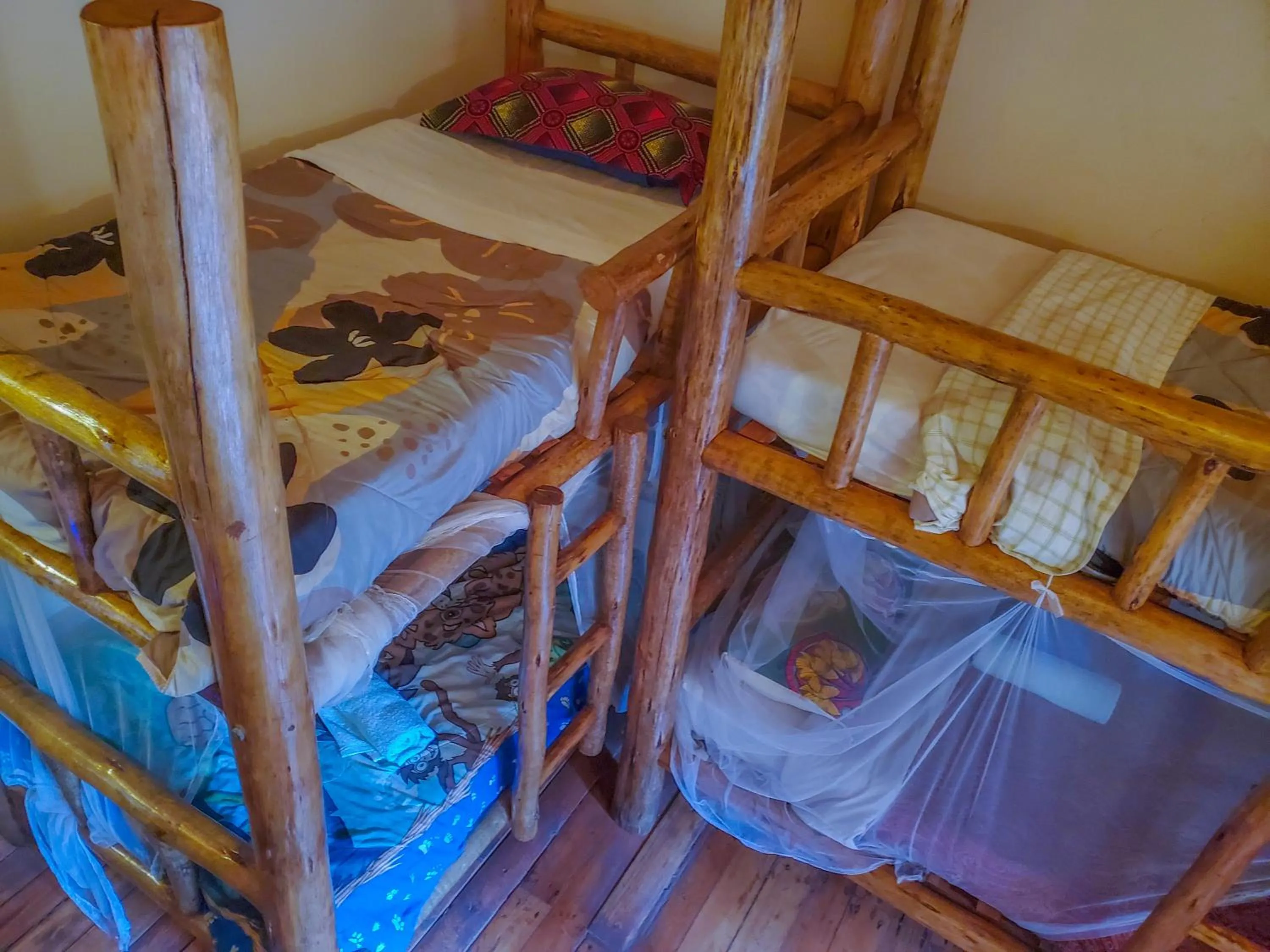 bunk bed, Bed in Elite Backpackers Services