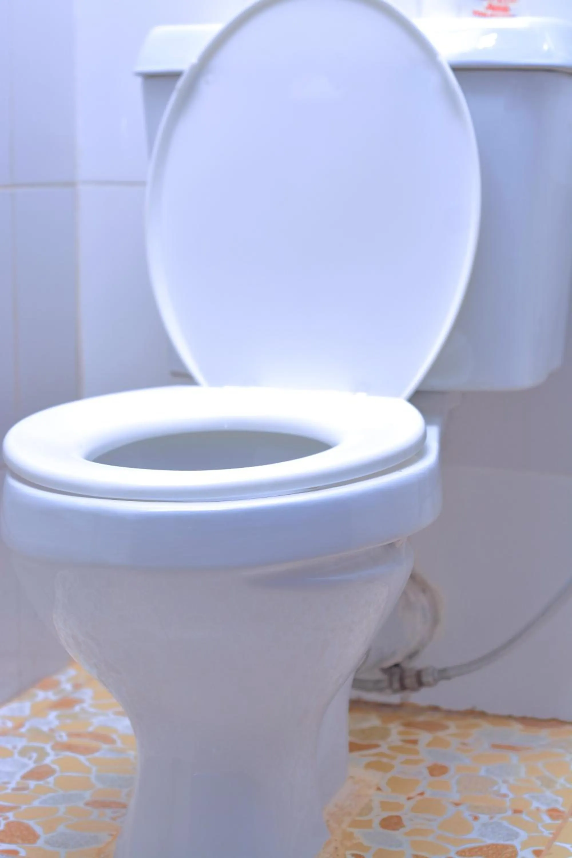 Toilet in Elite Backpackers Services