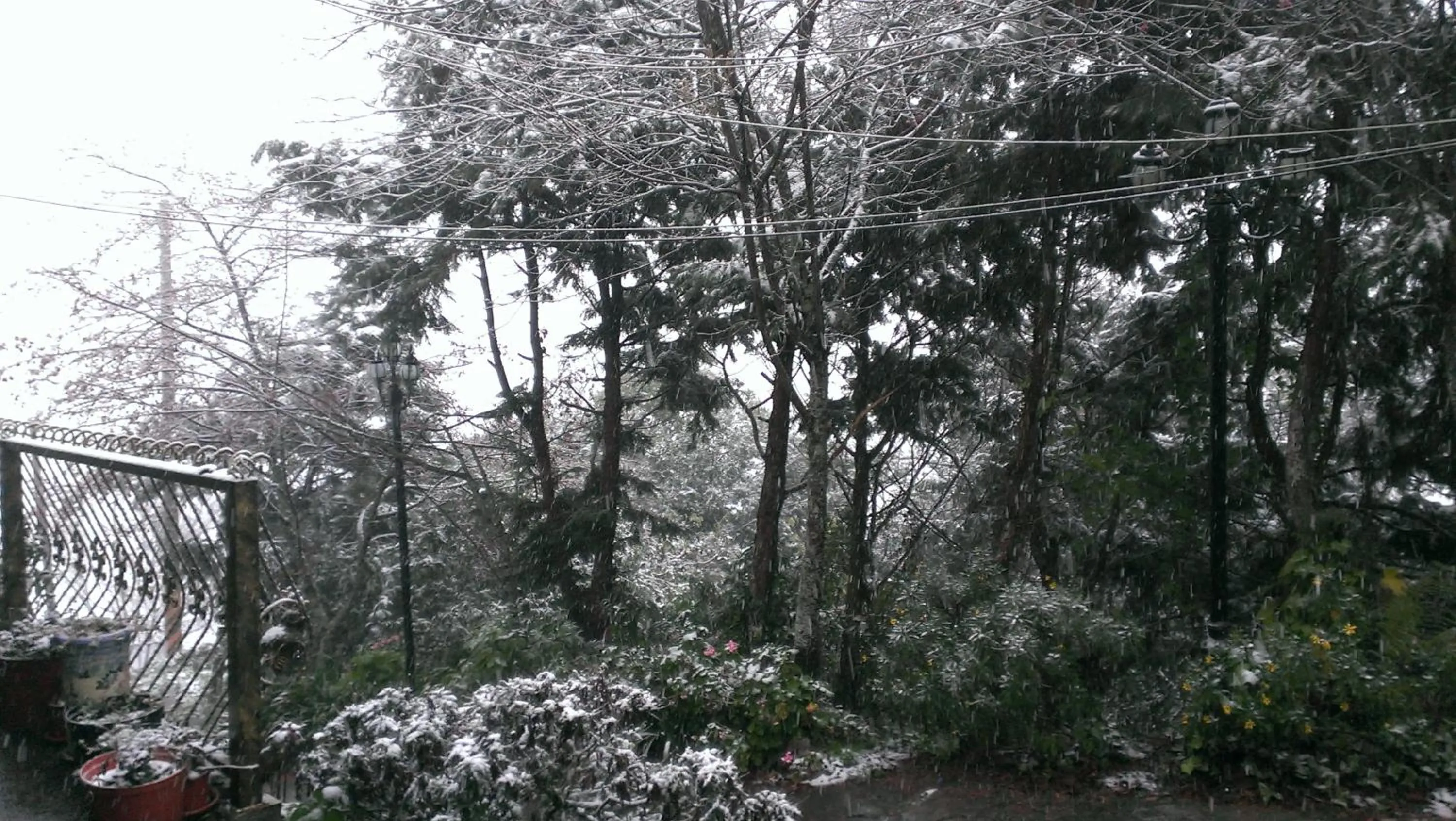 Winter in Bokelai B&B