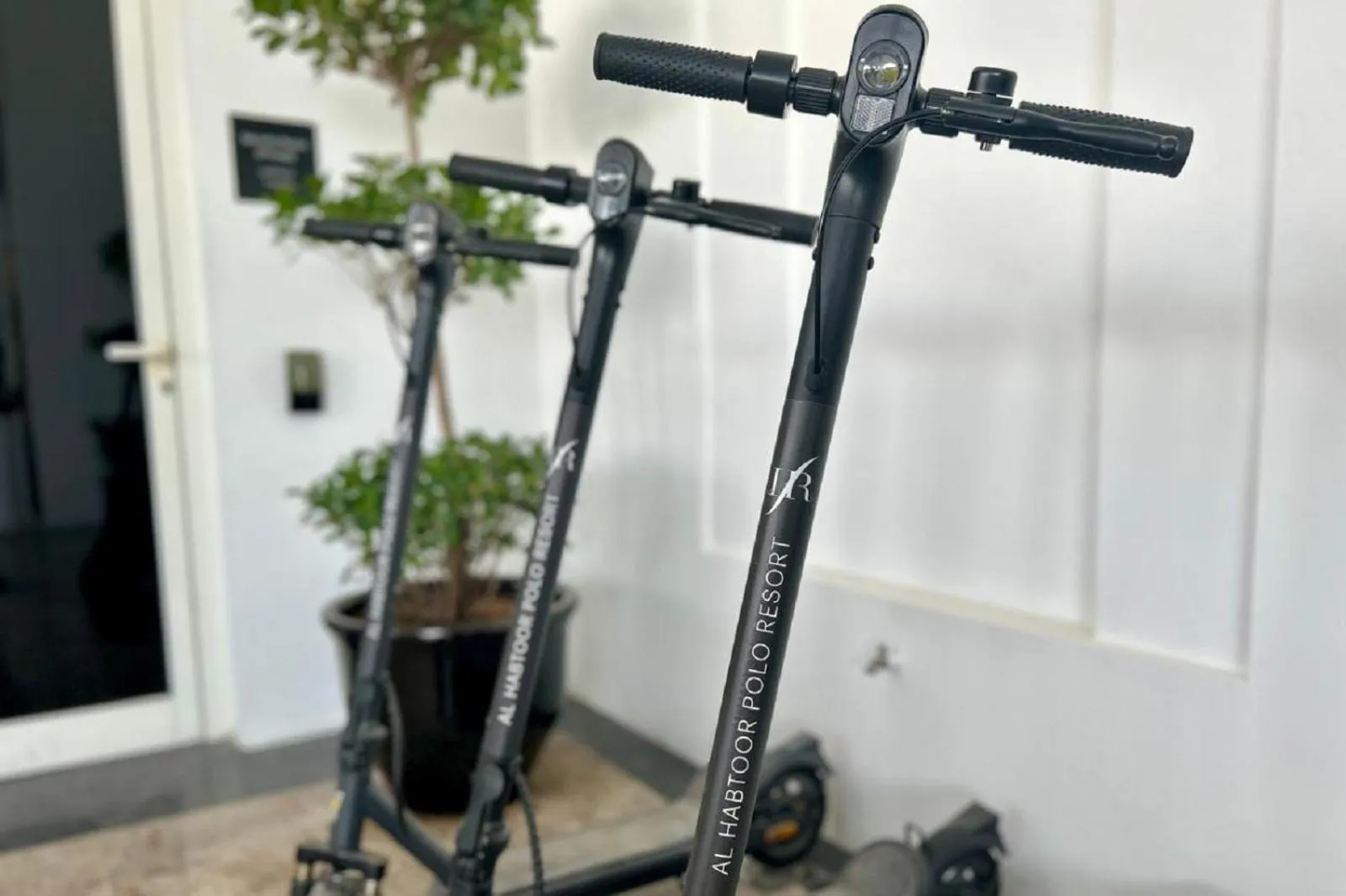 Area and facilities in Al Habtoor Polo Resort