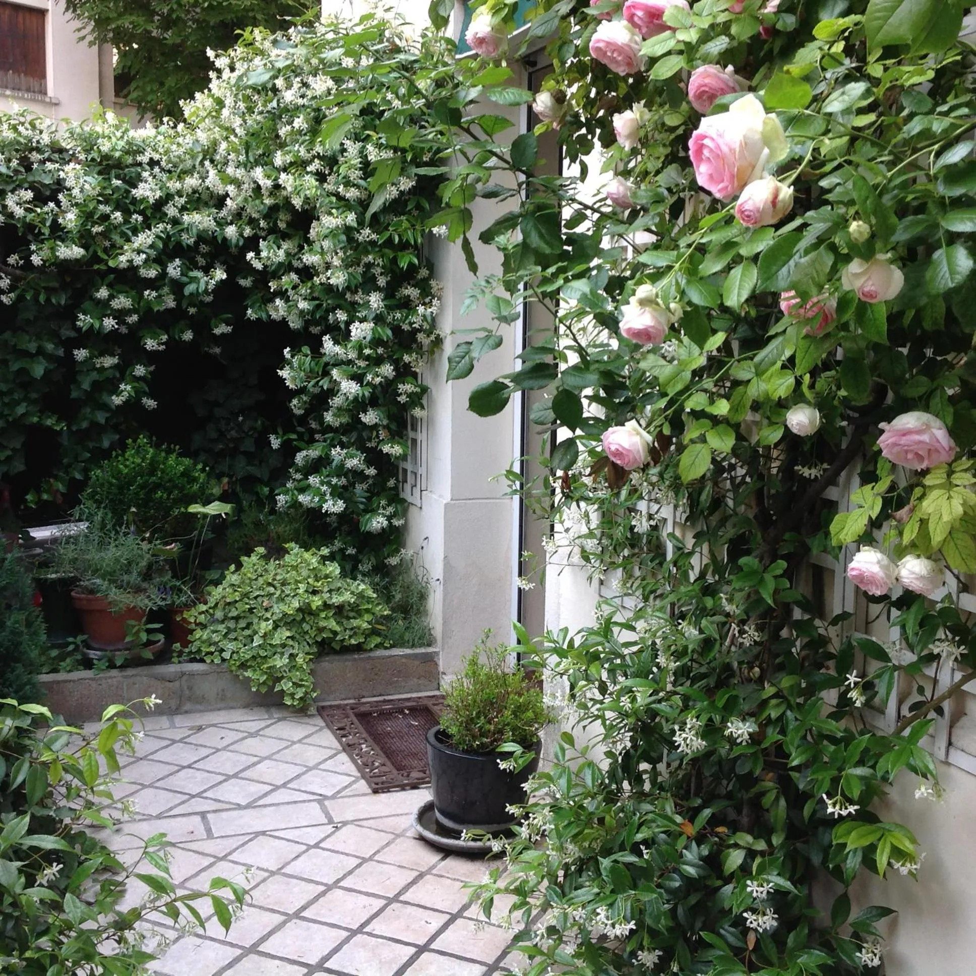 Patio in 1 Square du Docteur Blanche - Paris 16