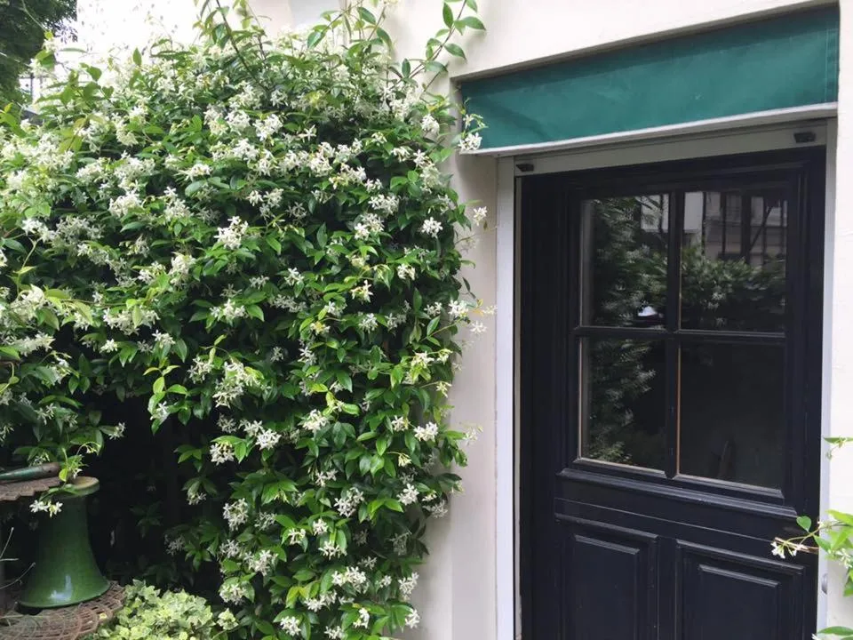 Patio in 1 Square du Docteur Blanche - Paris 16