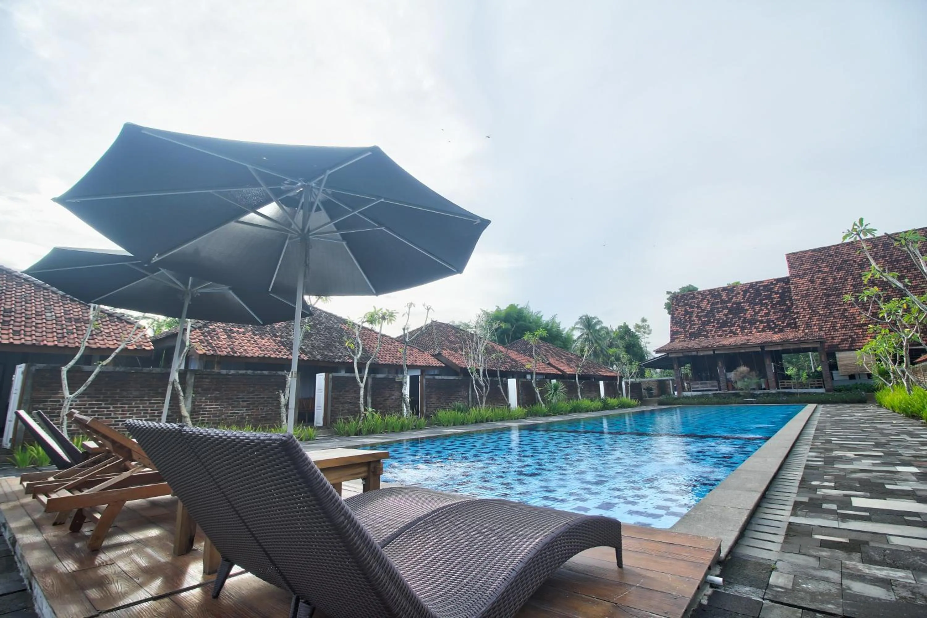 Swimming pool in Shankara Borobudur