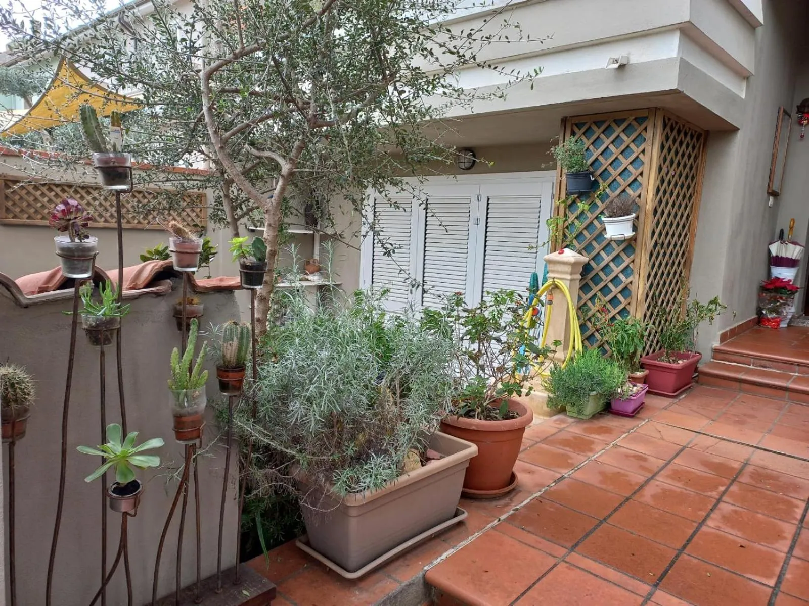 Garden in B&B Filomena