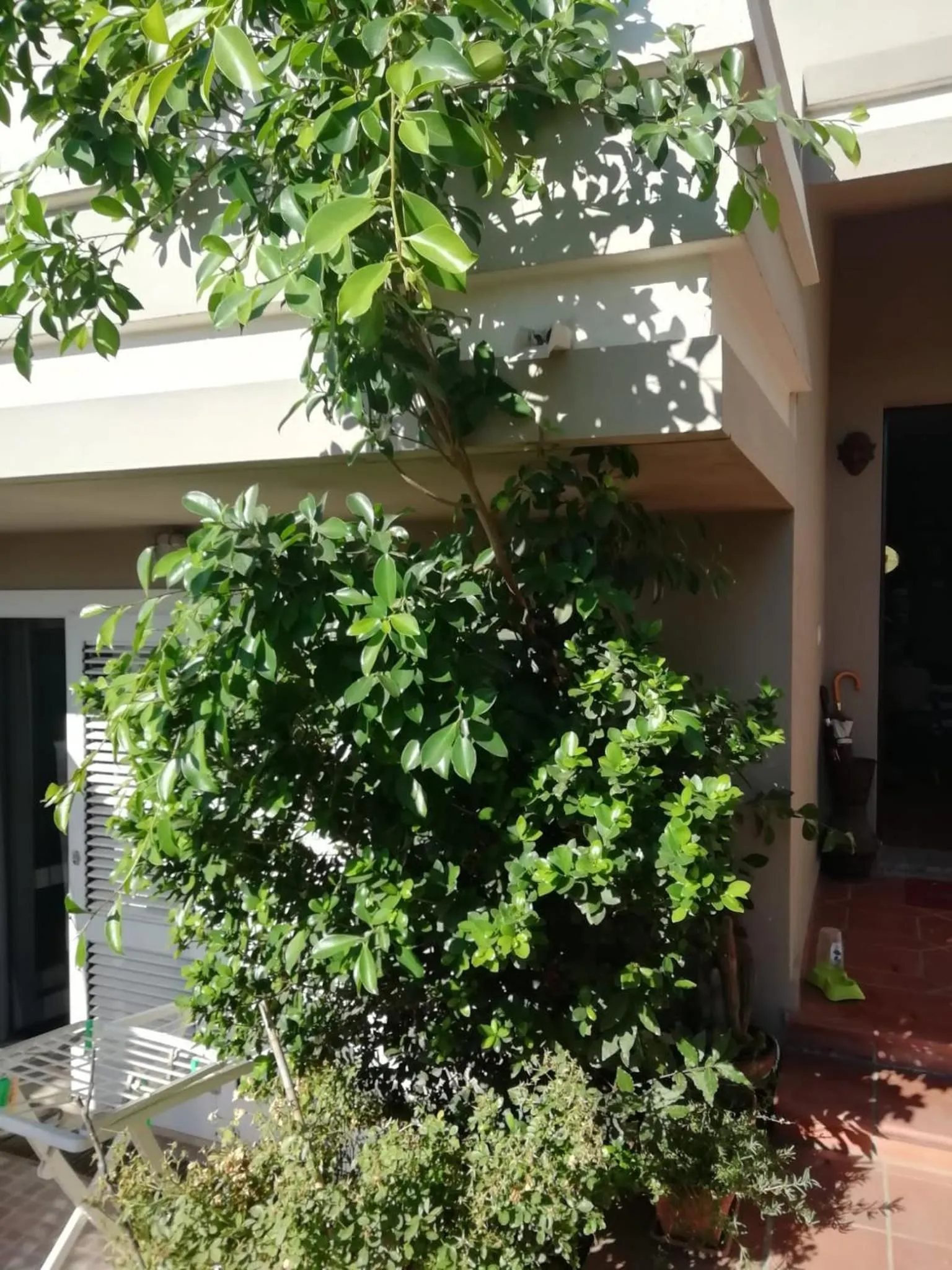 Facade/entrance in B&B Filomena