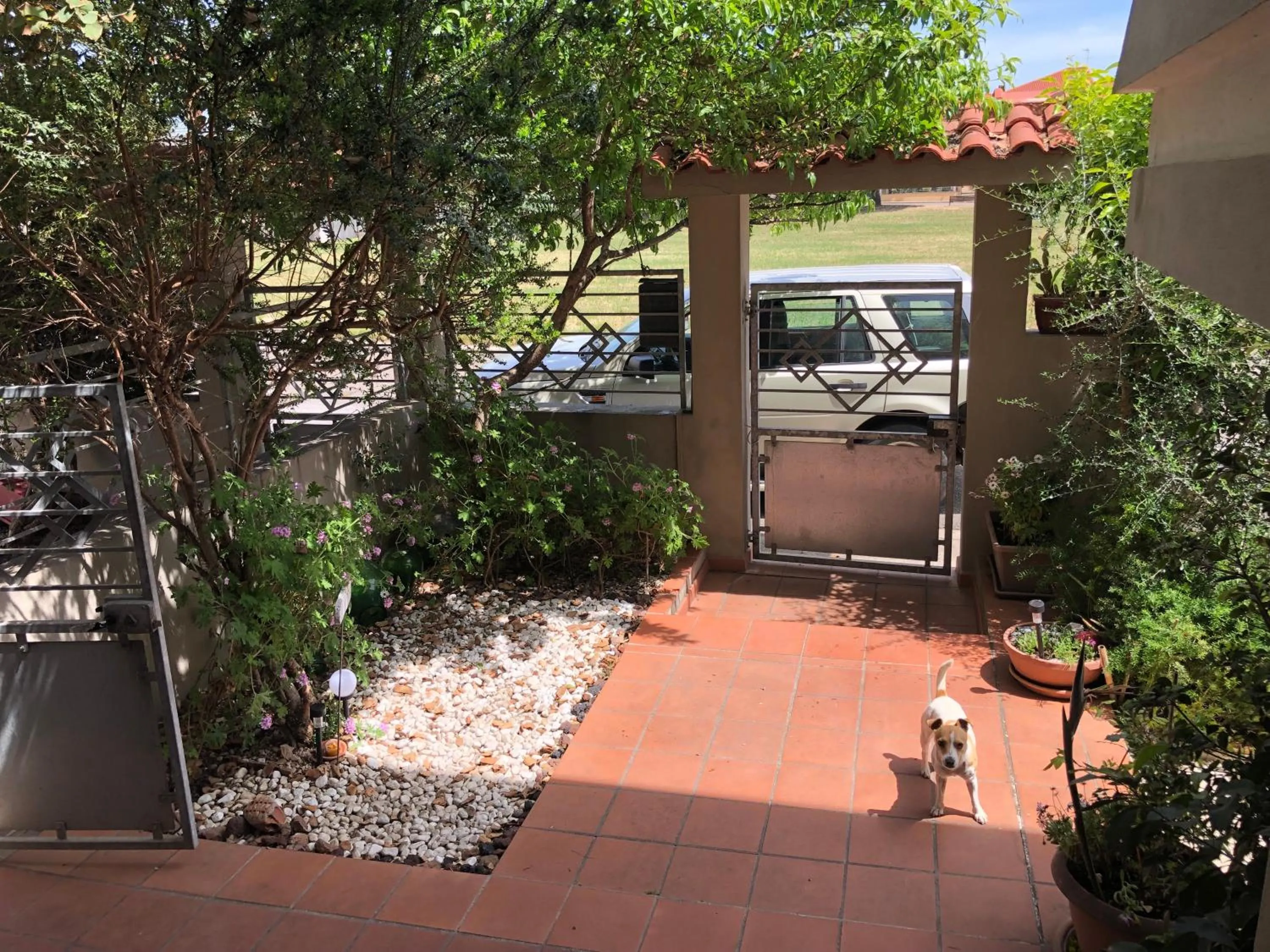 Garden in B&B Filomena