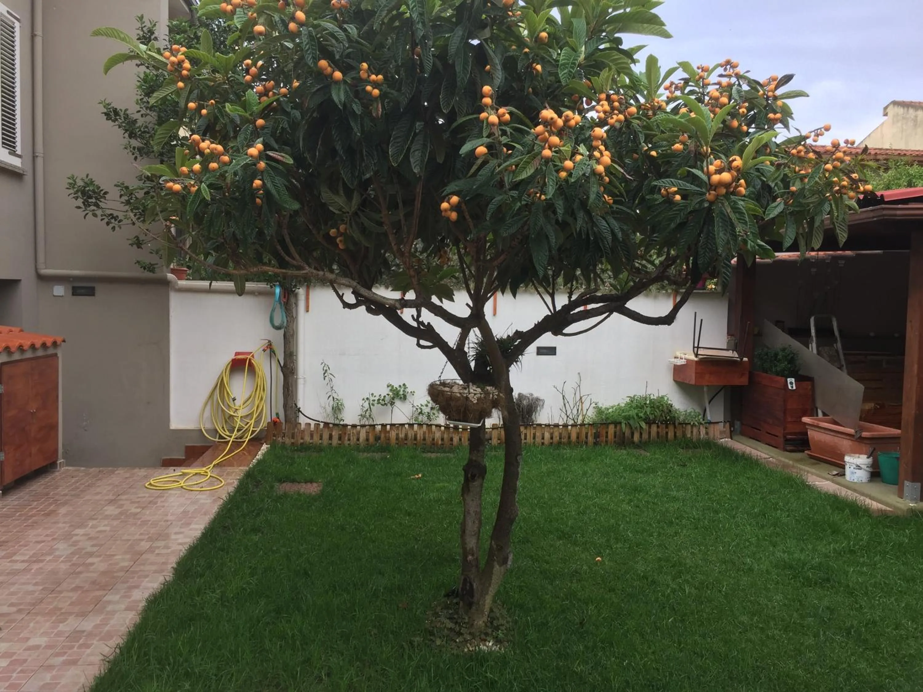 Garden in B&B Filomena