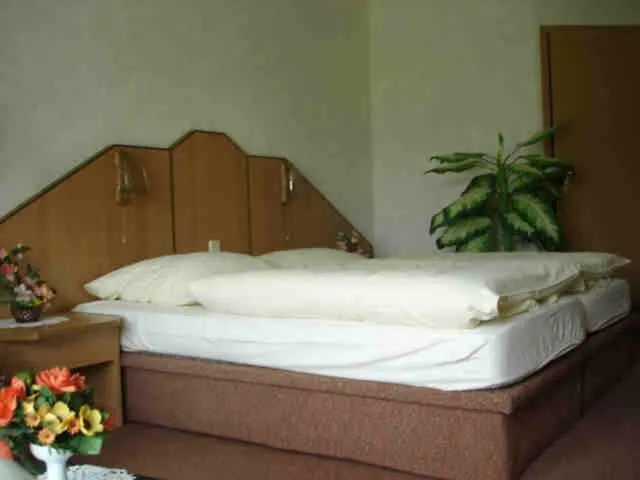 Bed in Richzenhainer-Hof