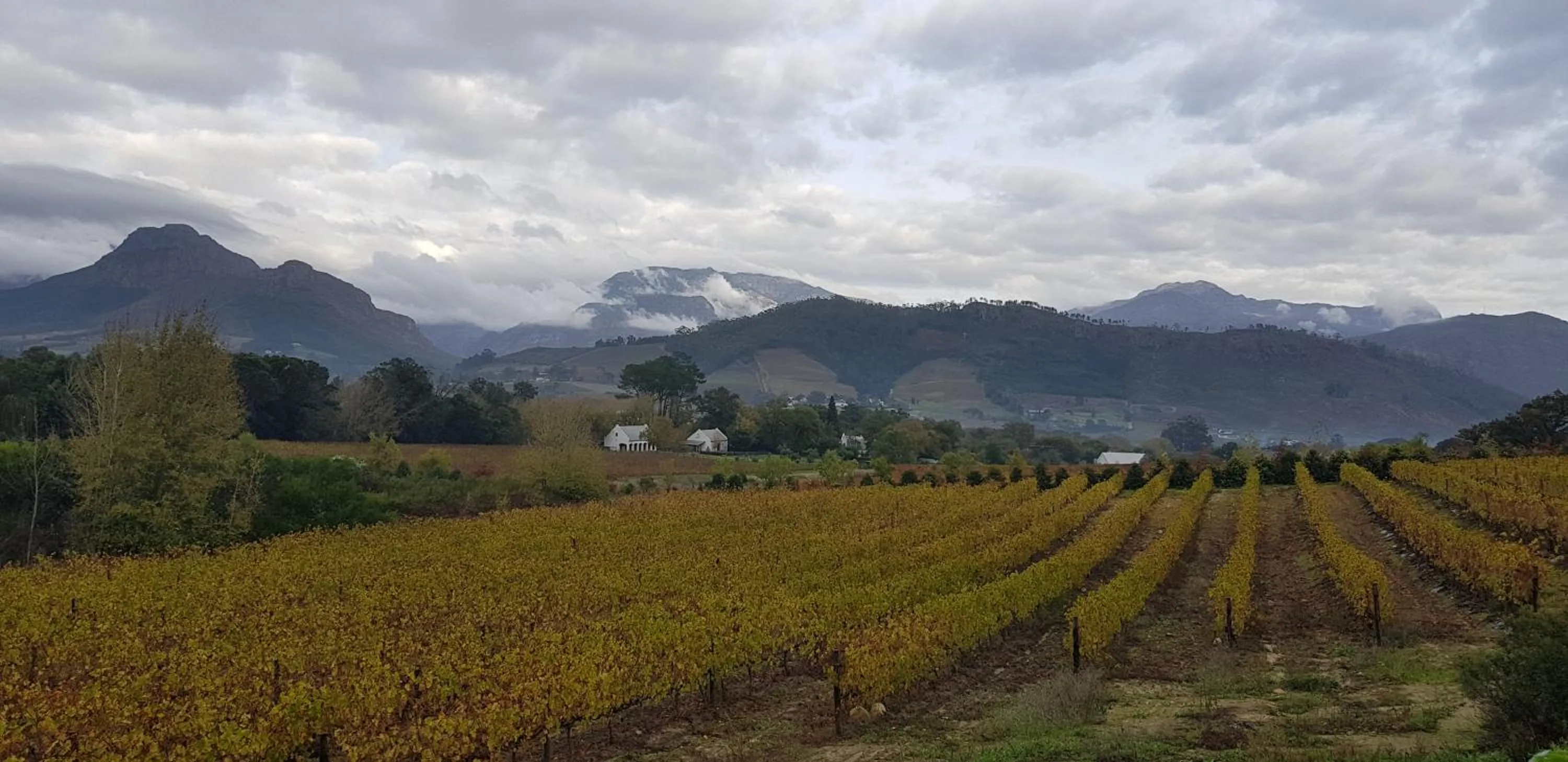 Garden view in La Cotte Forest Cottages