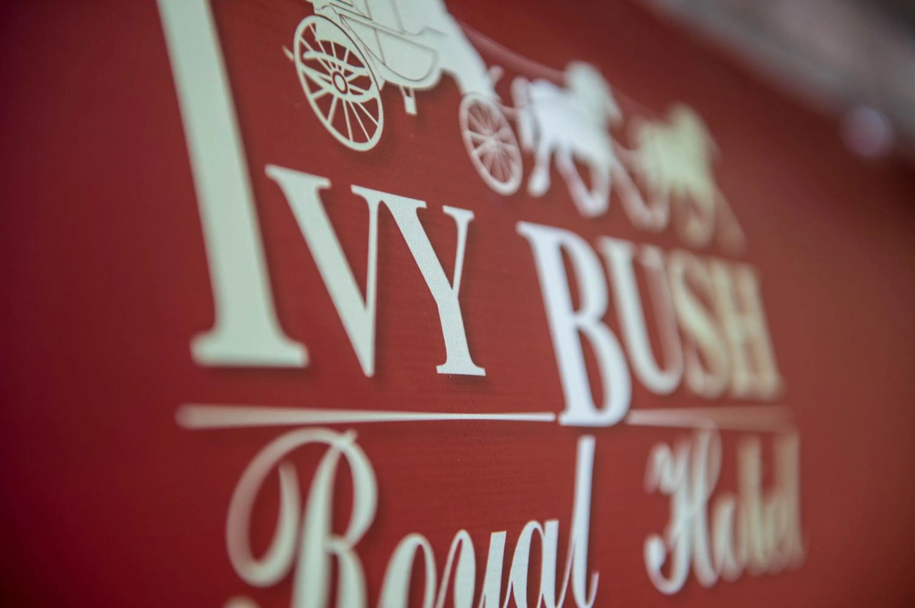 Logo/Certificate/Sign in Ivy Bush Royal Hotel by Compass Hospitality