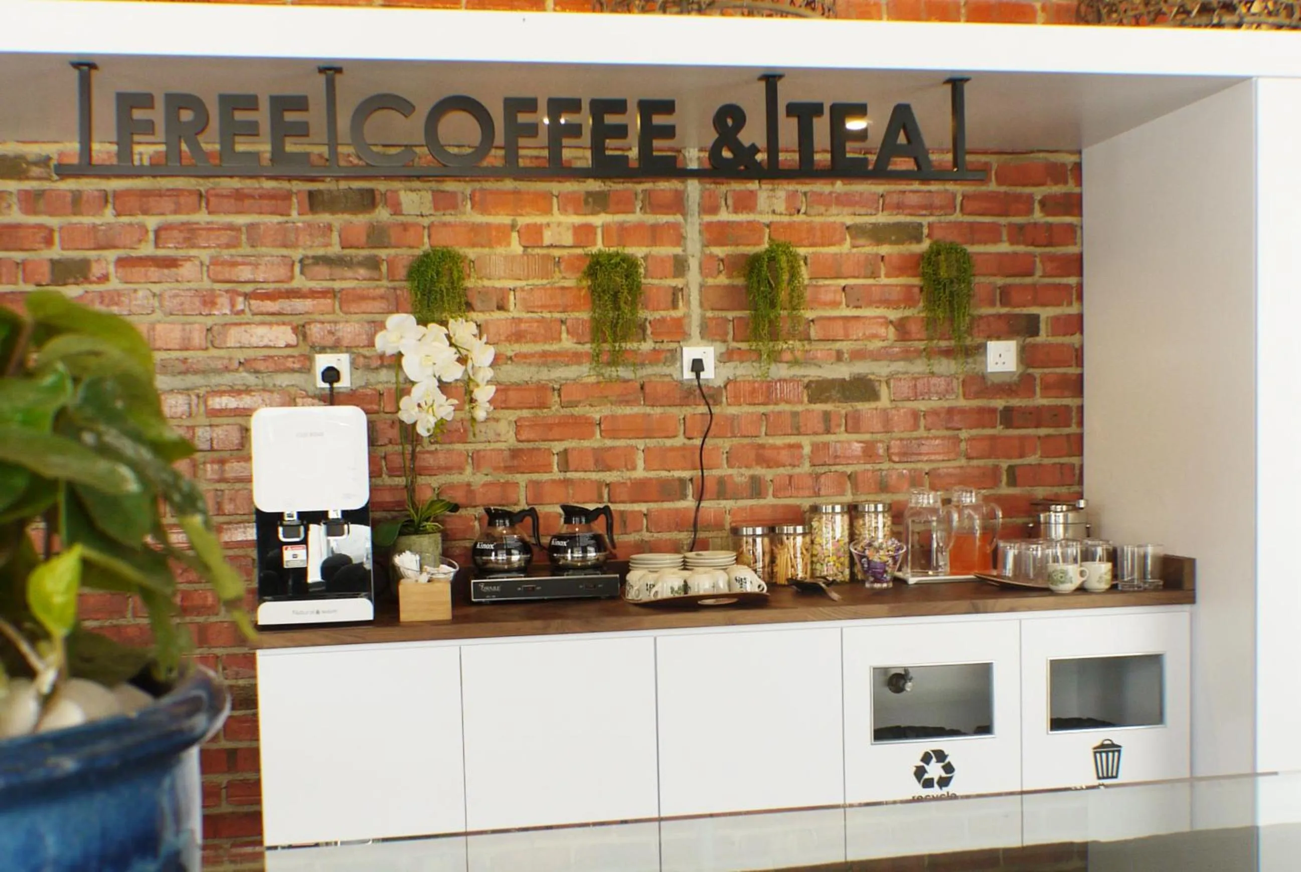 Food and drinks in Hako Hotel