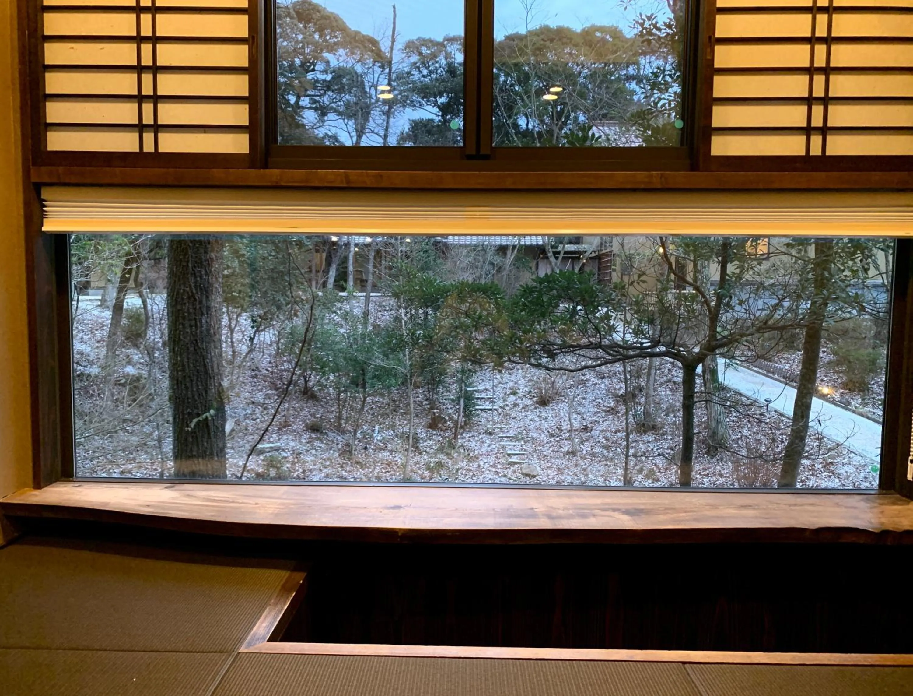 Photo of the whole room in Ryokan Nushiya