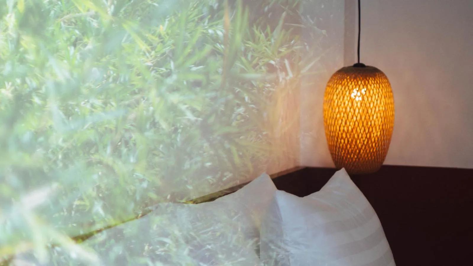 Tribee Cotu - Hostel