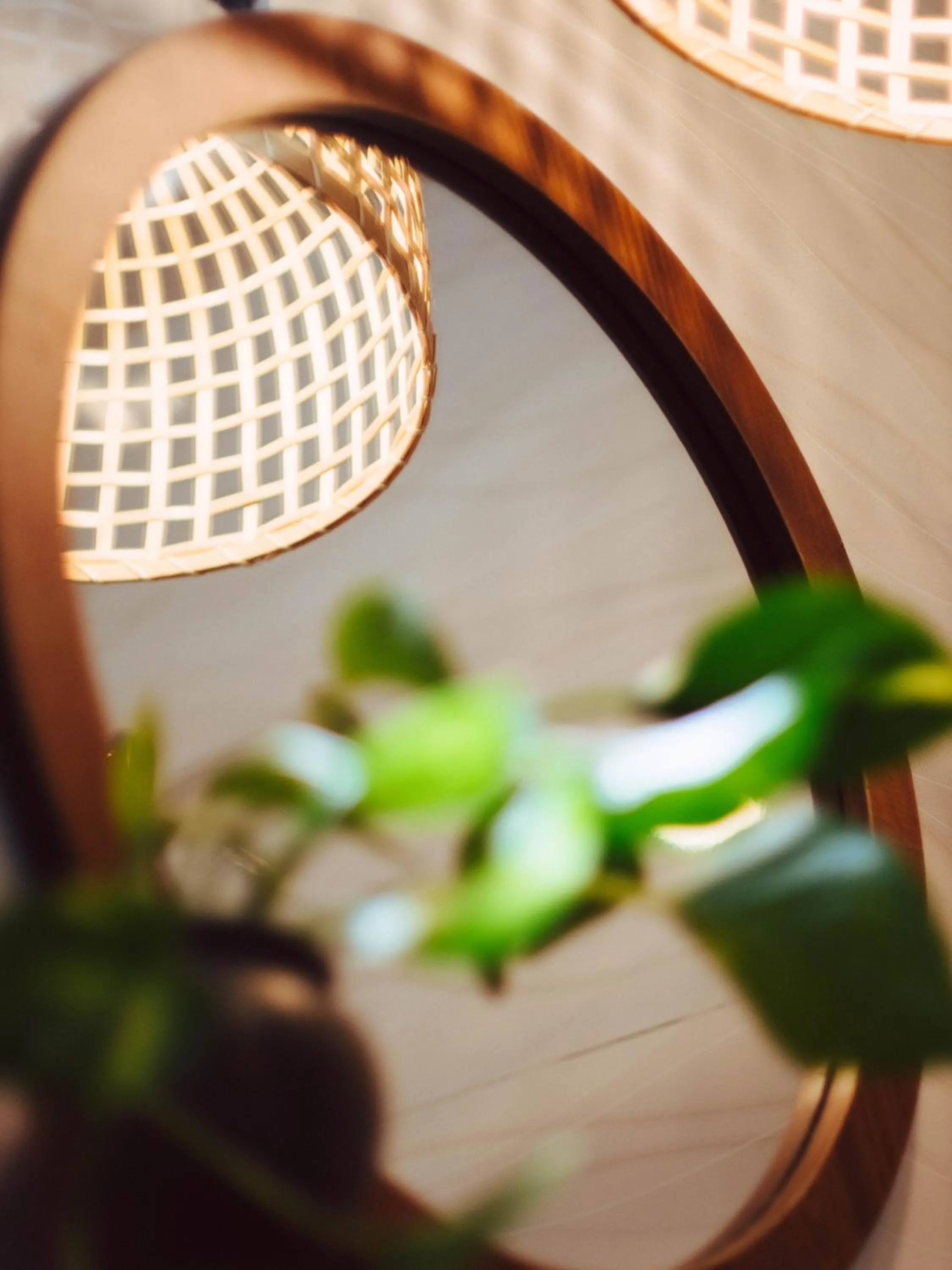 Tribee Cotu - Hostel