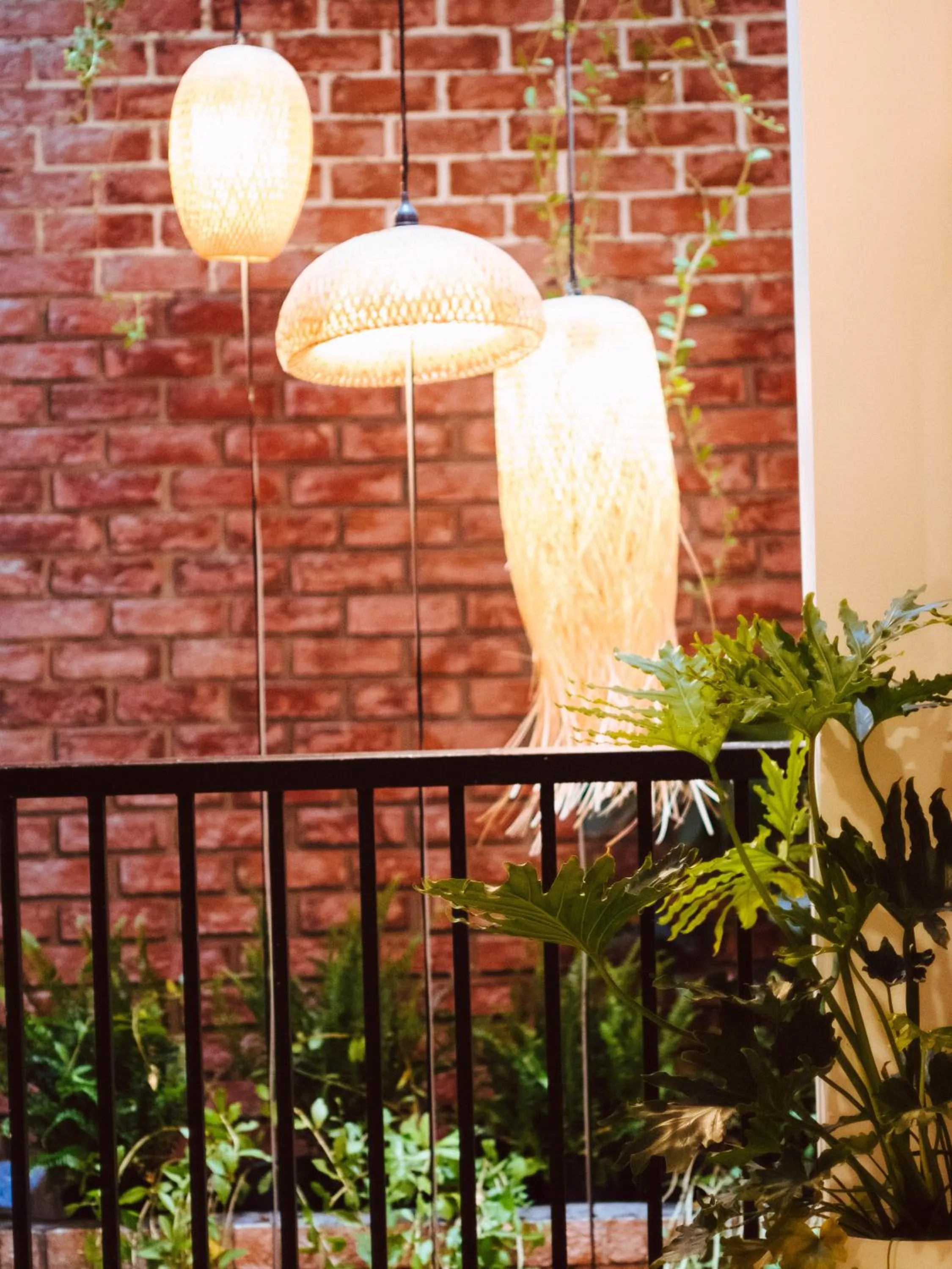 Tribee Cotu - Hostel