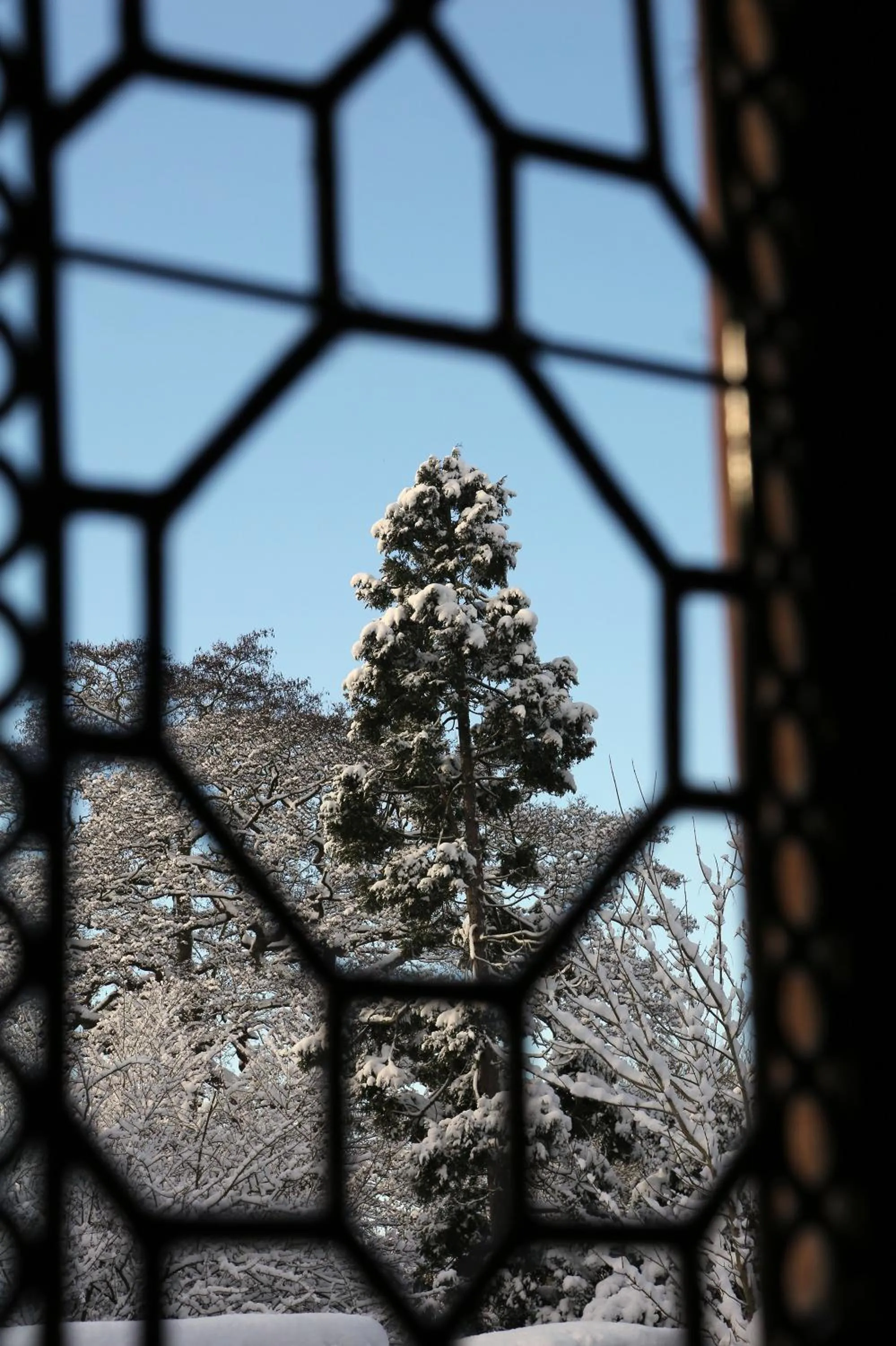 Garden view in New Hall Hotel & Spa, Birmingham