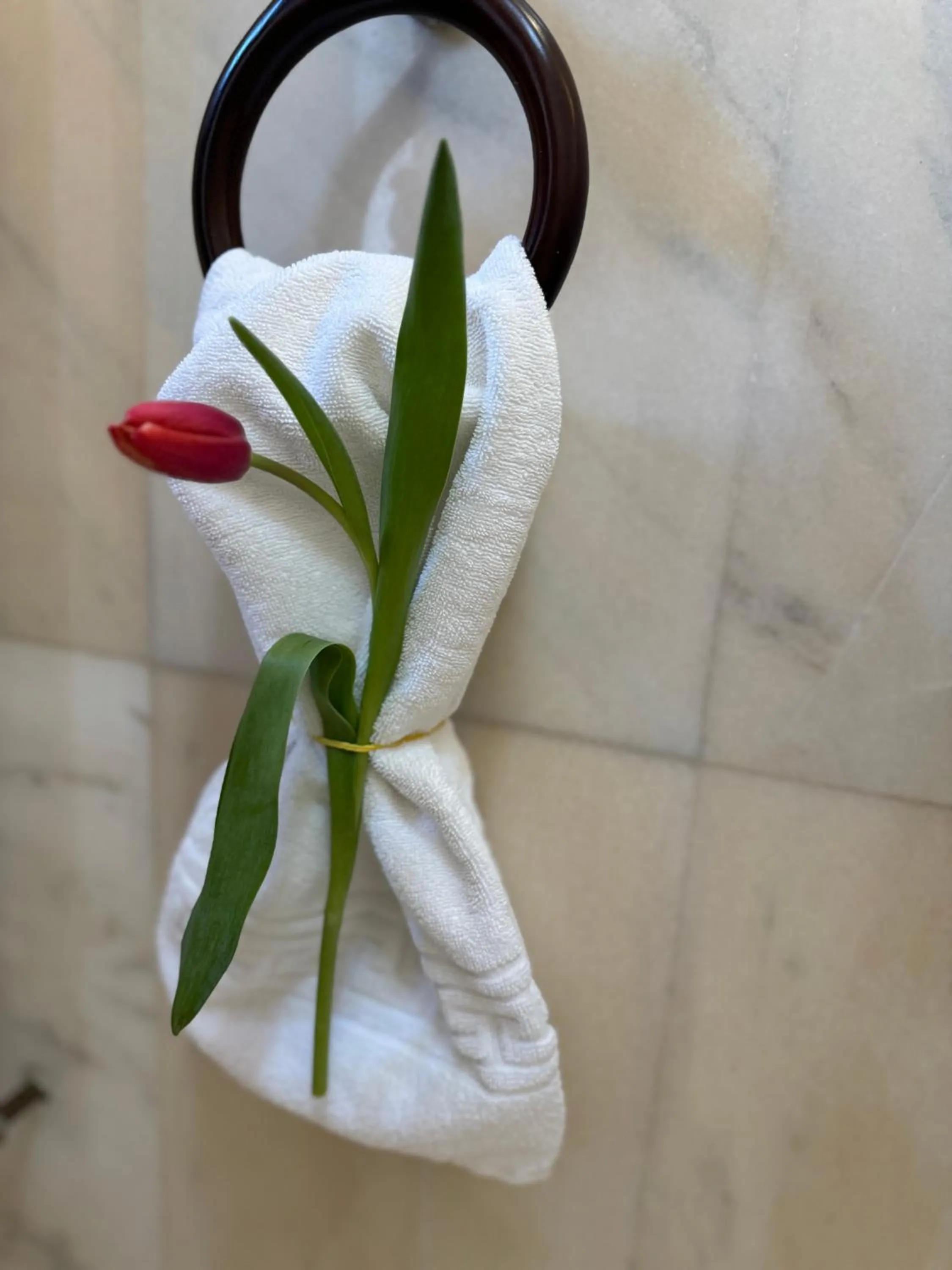 Bathroom in Cetatea Medievala