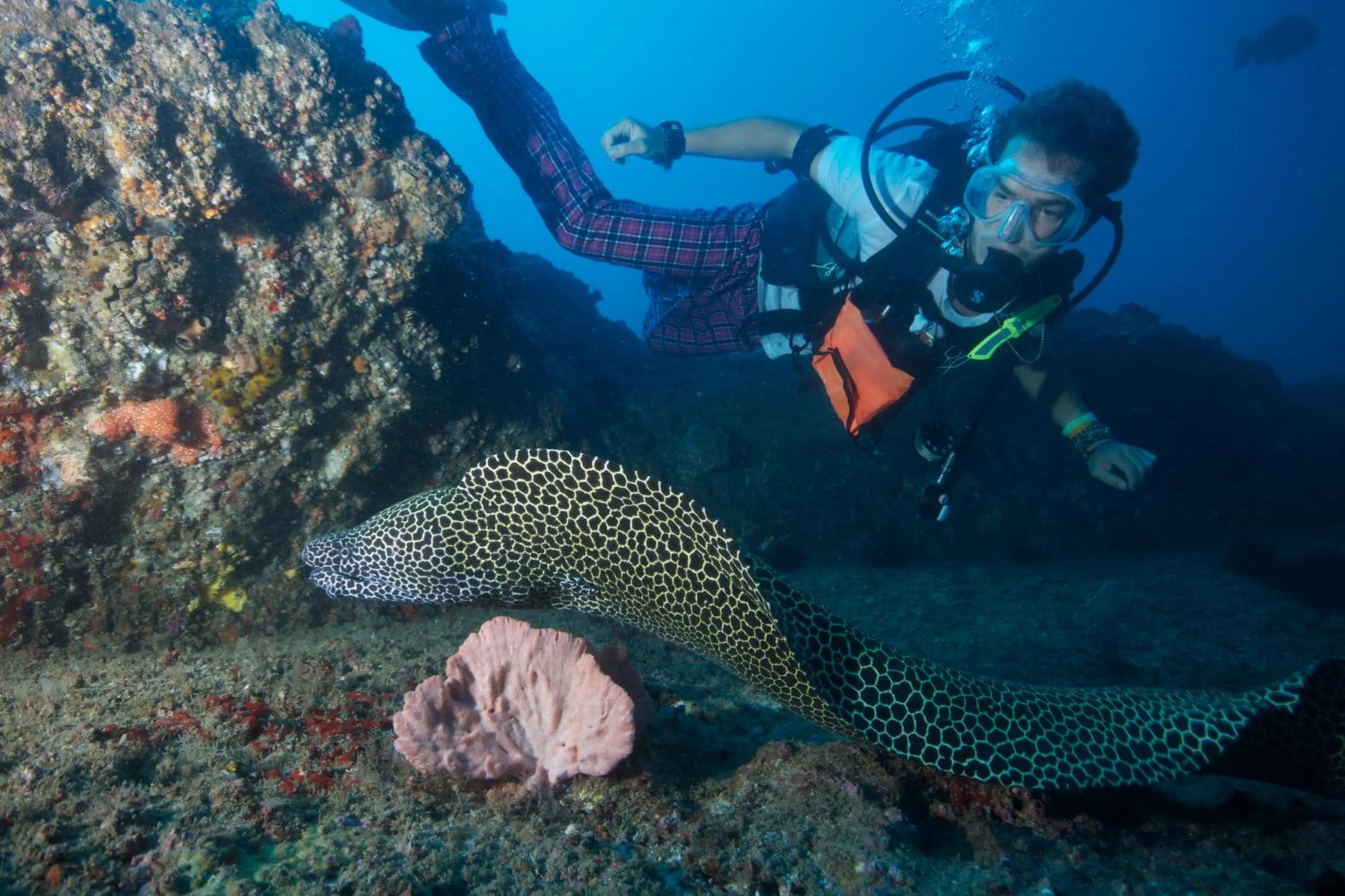 Diving in Sentidos Beach Retreat