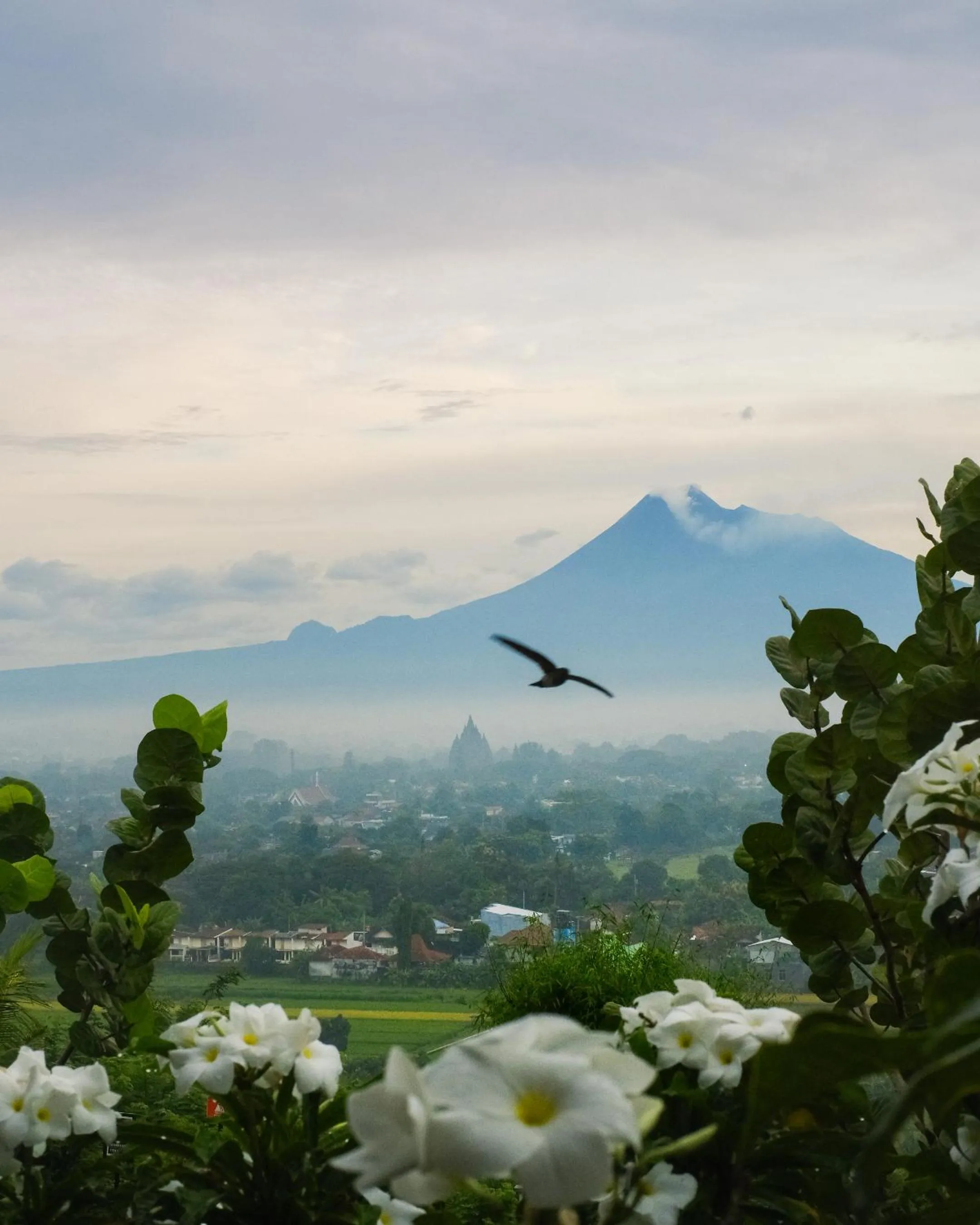 Mountain view in Abhayagiri - Sumberwatu Heritage Resort