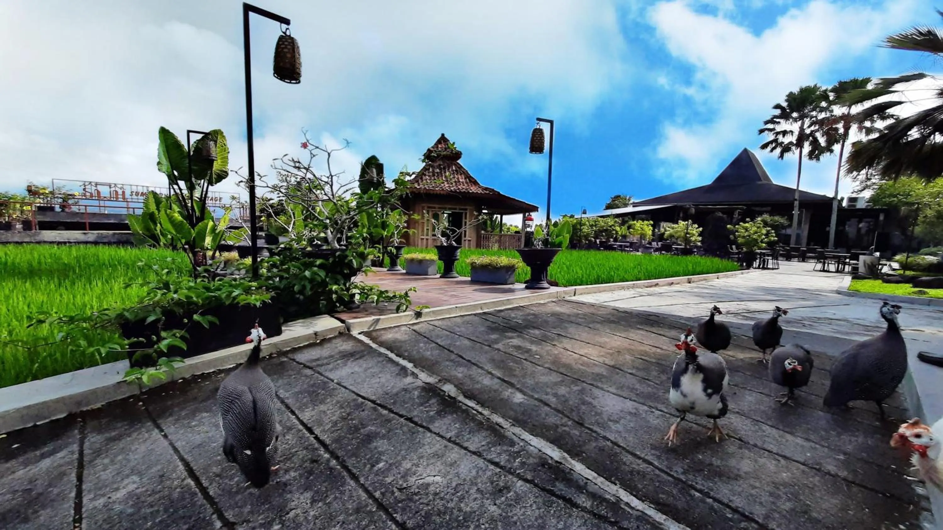 Activities in Abhayagiri - Sumberwatu Heritage Resort