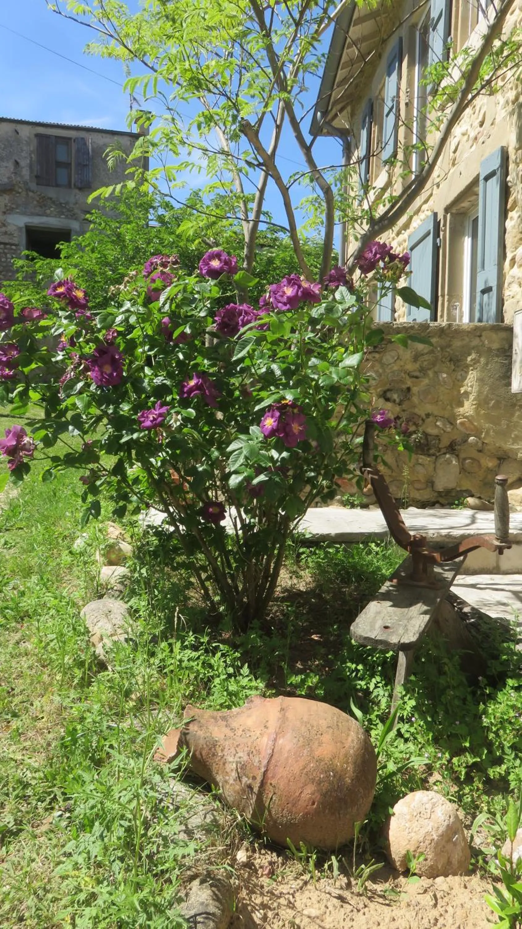 Property building in A la belle histoire