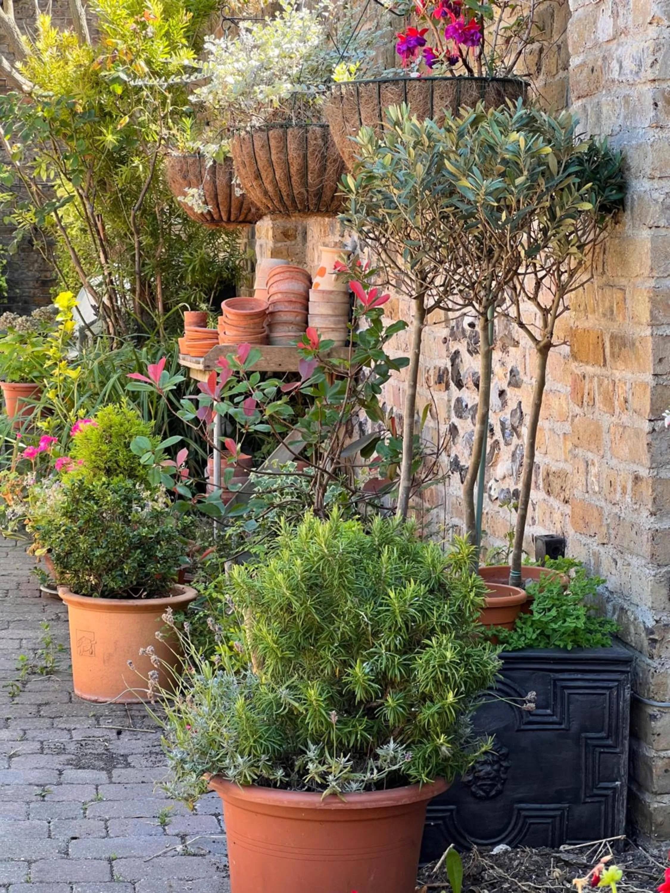 Summer in The Royal Harbour Hotel