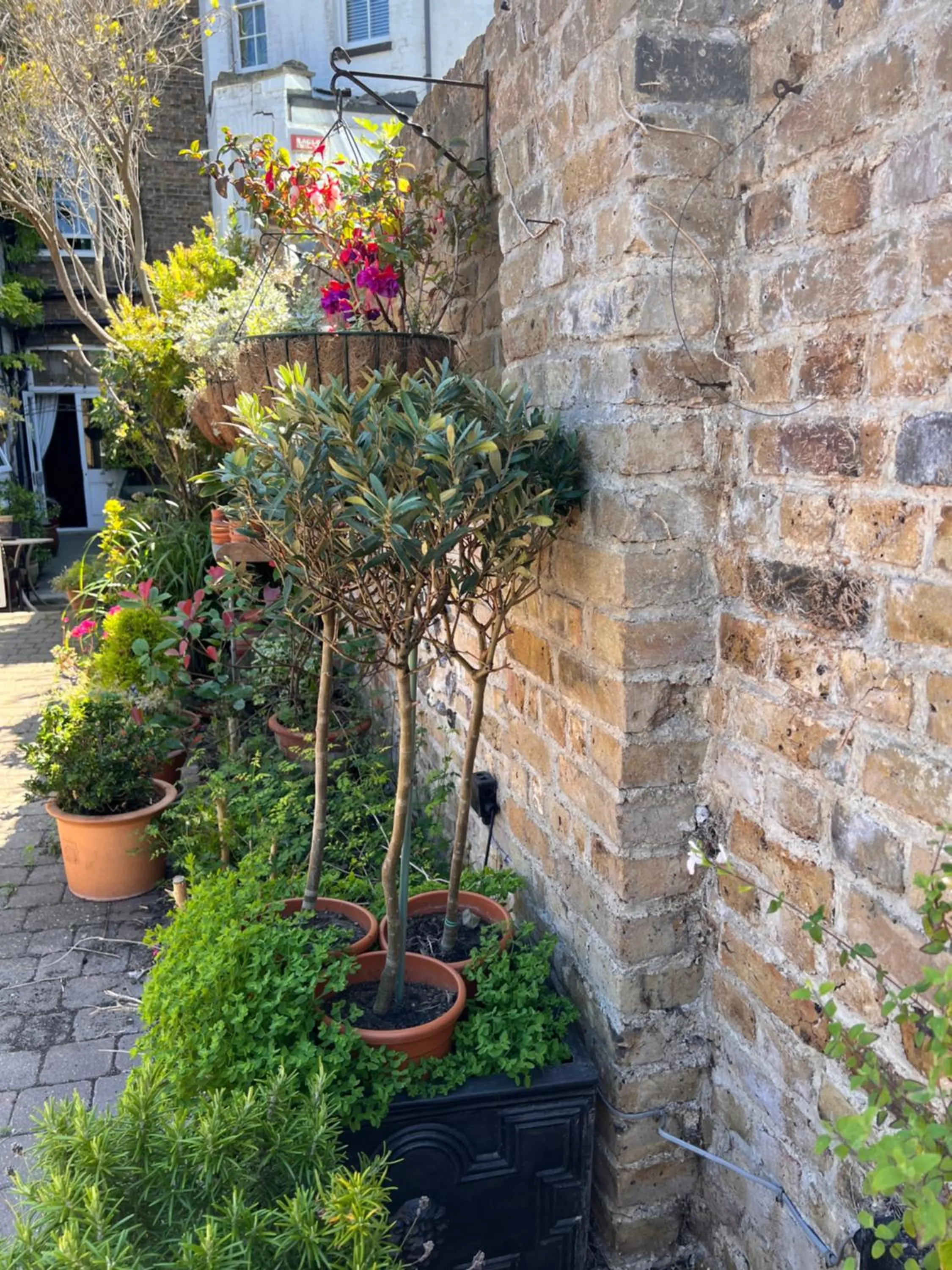 Summer in The Royal Harbour Hotel