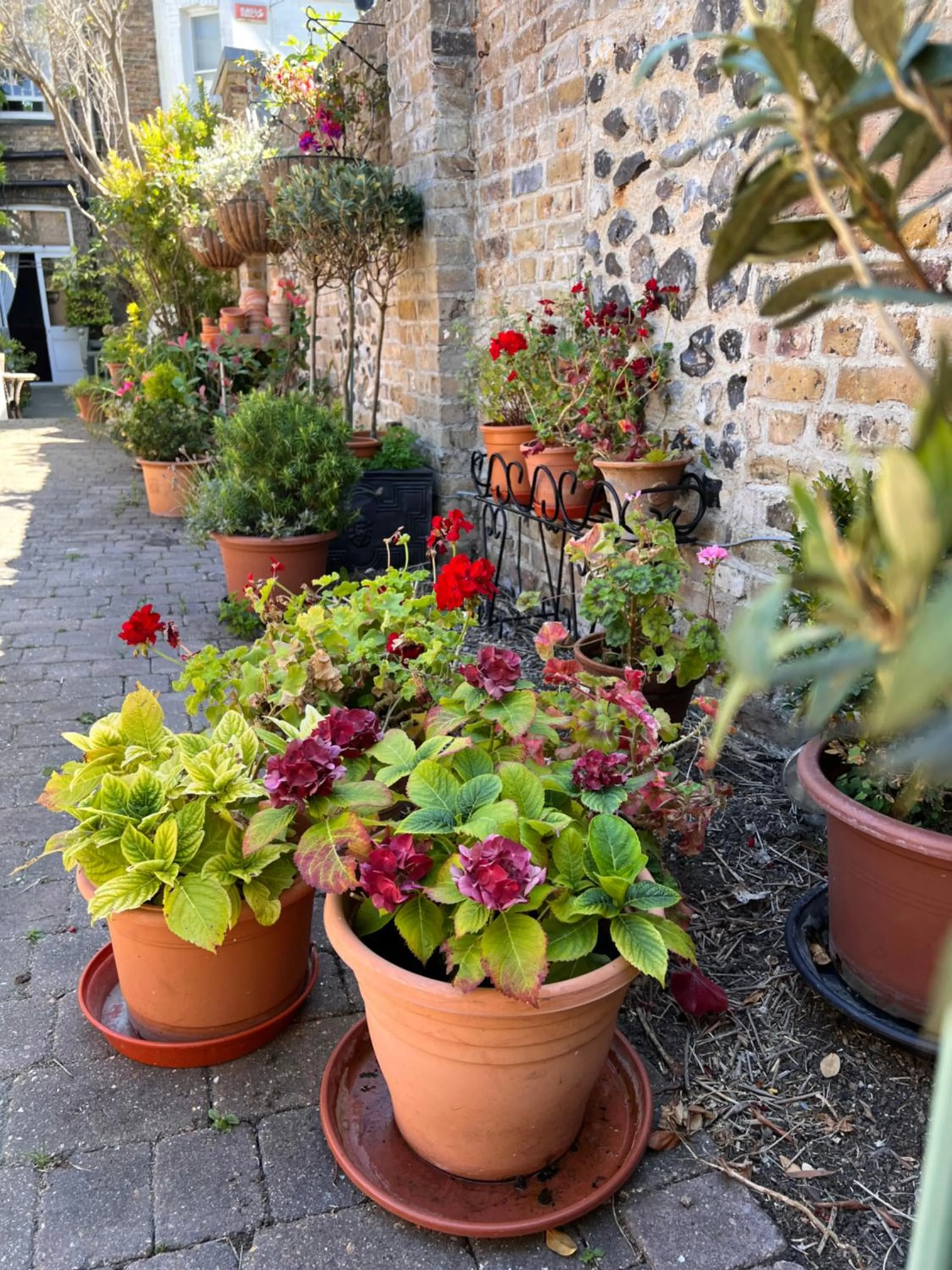 Summer in The Royal Harbour Hotel