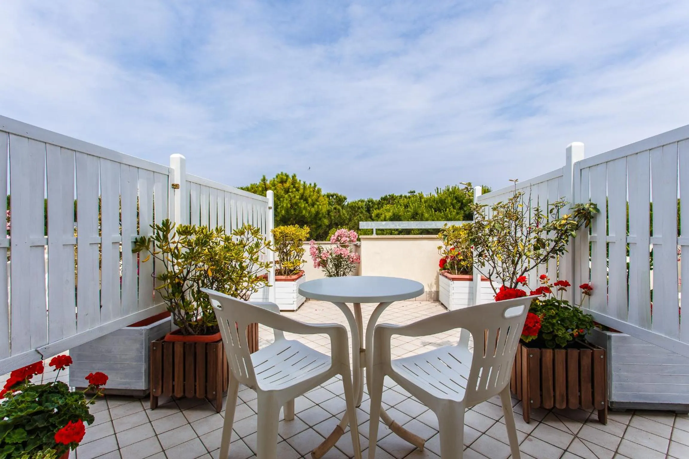 Balcony/Terrace in Hotel San Pietro