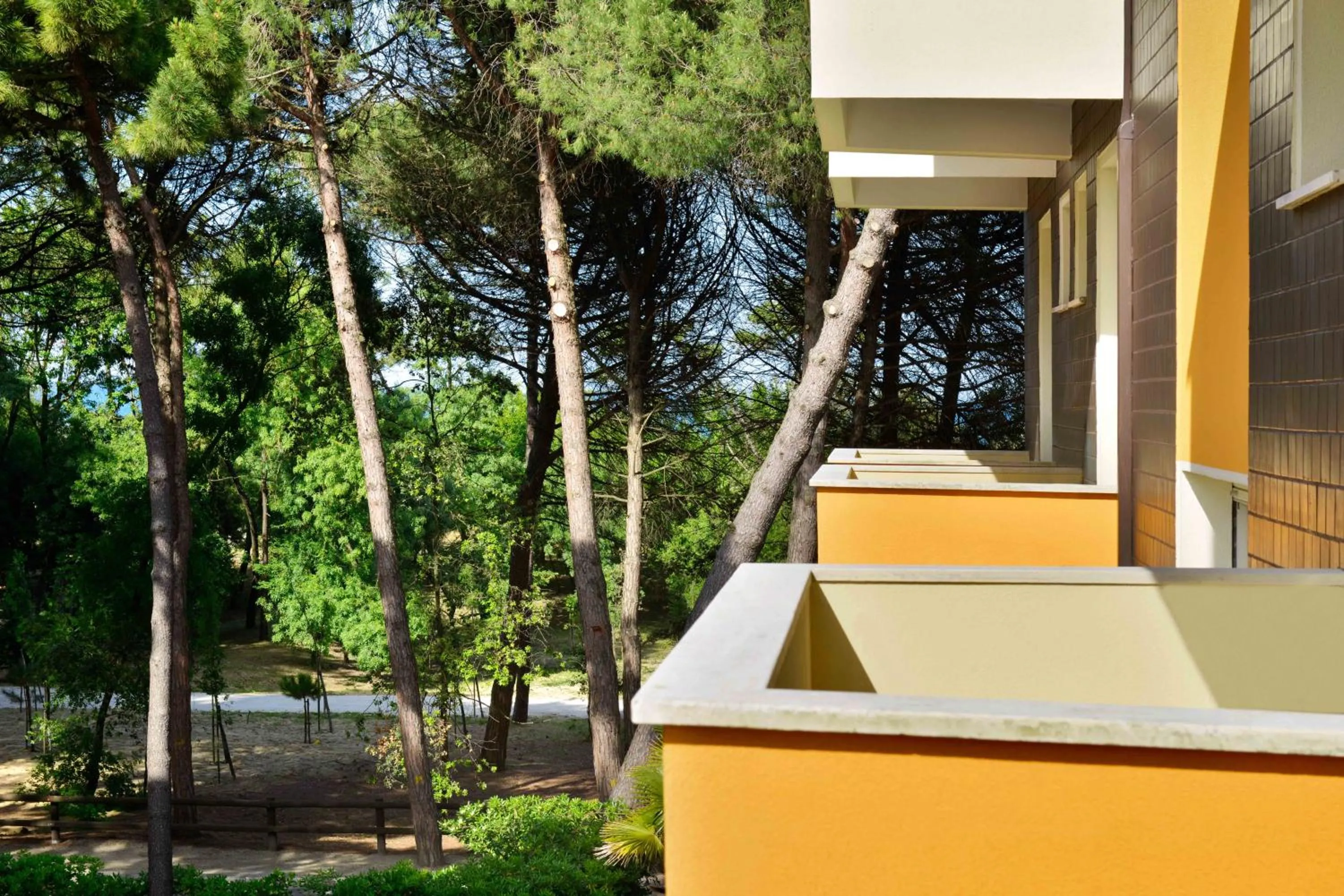 View (from property/room) in Hotel San Pietro