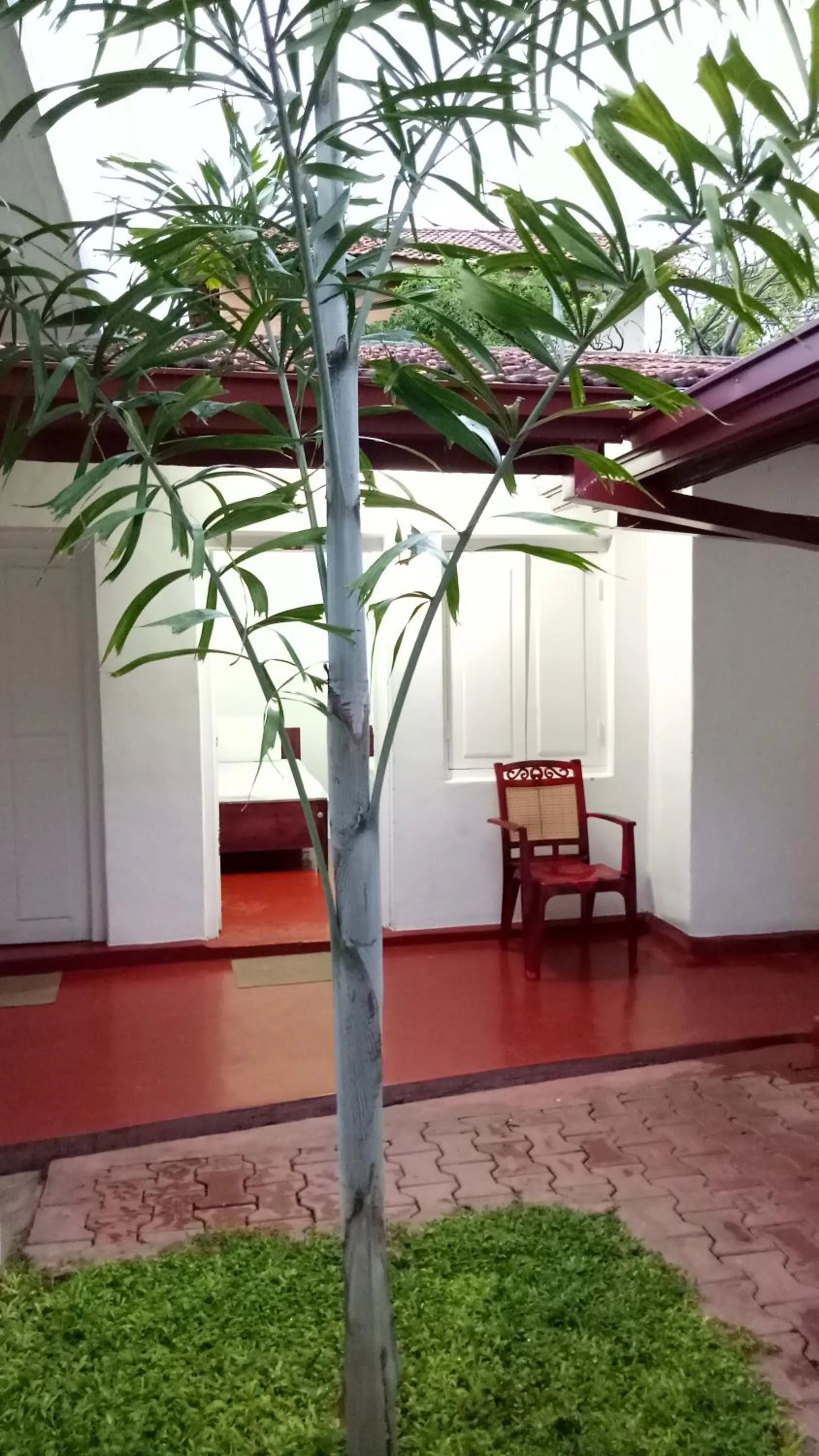 Bon Voyaage Tourist Inn