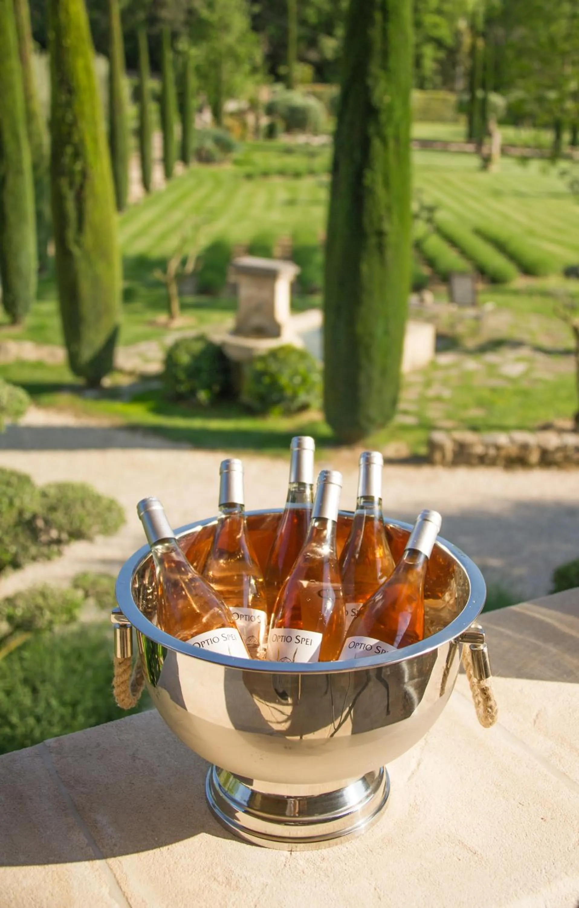 Alcoholic drinks in Domaine Les Roullets