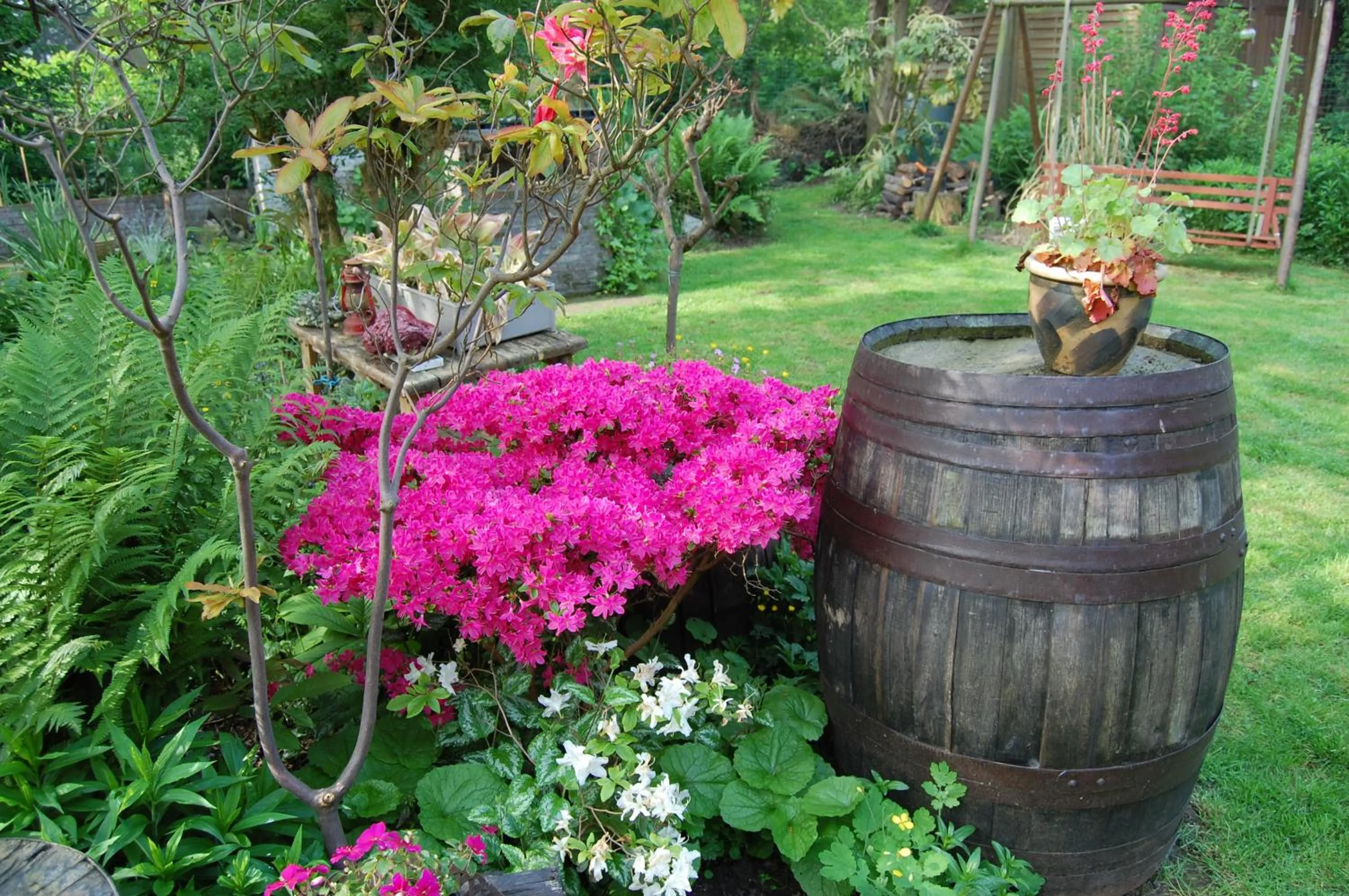 Garden in B&B Bij MoeMee