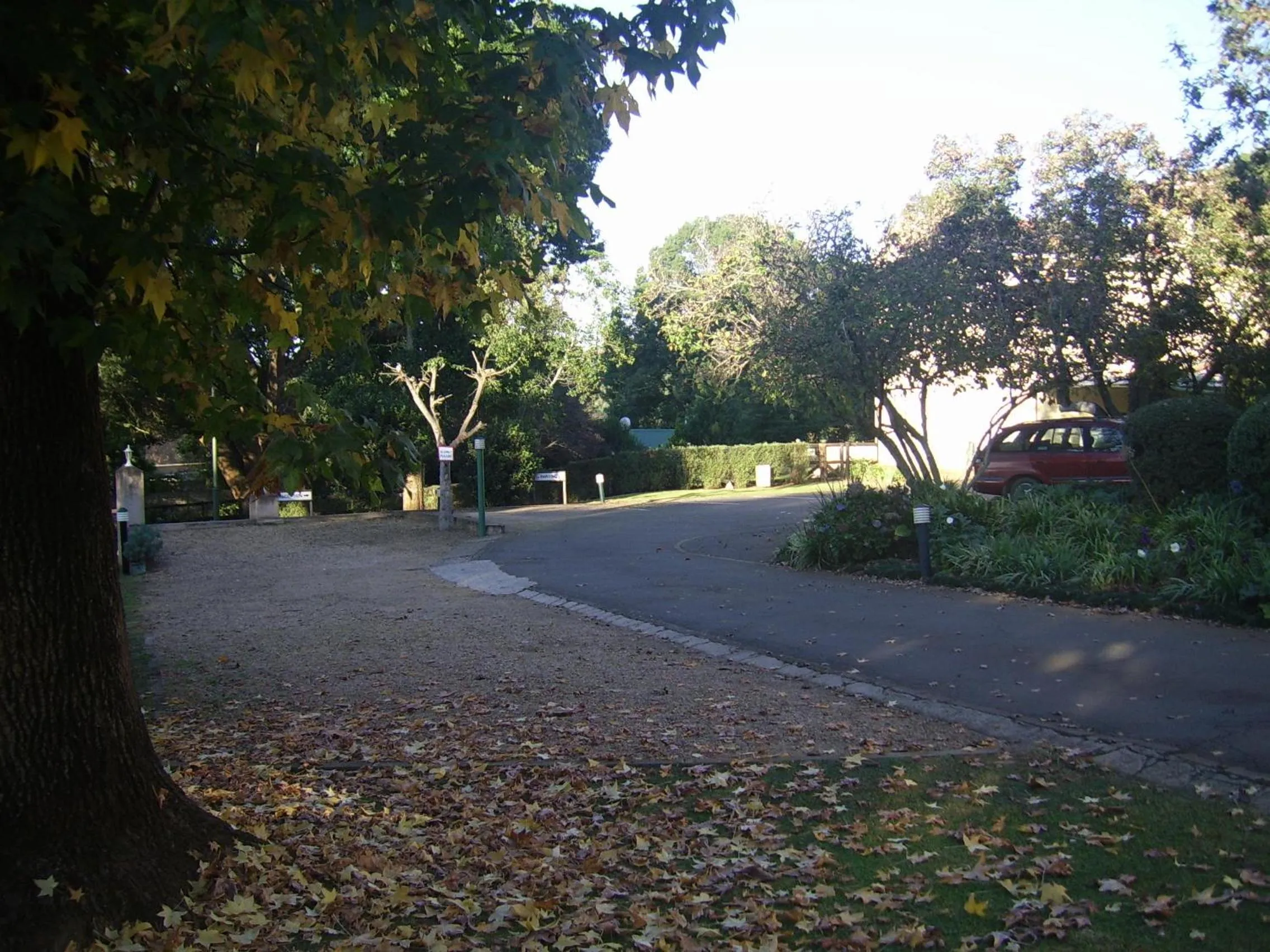 Garden in Nutmeg Guest House