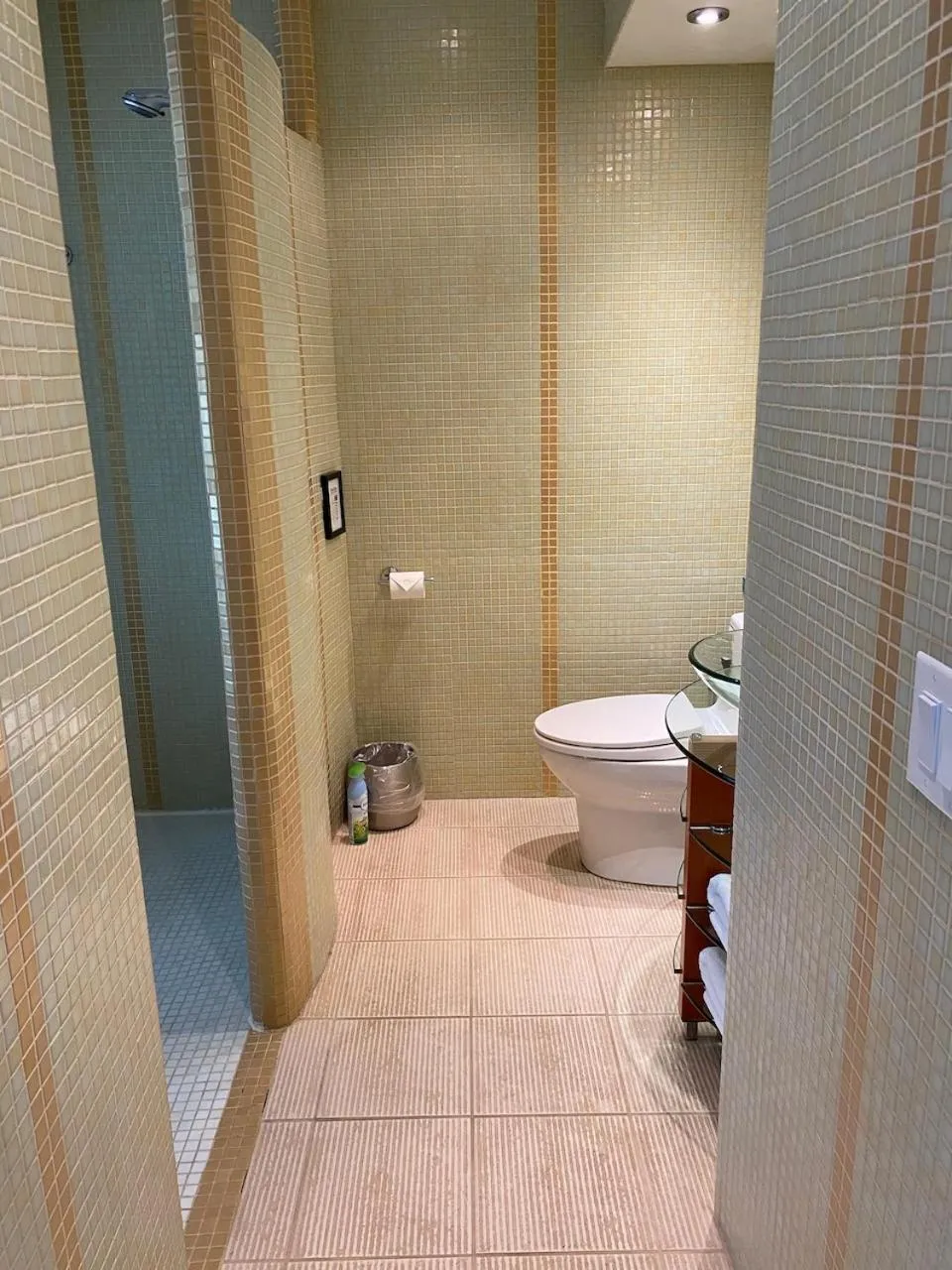 Shower in Pikes Peak Paradise Bed and Breakfast