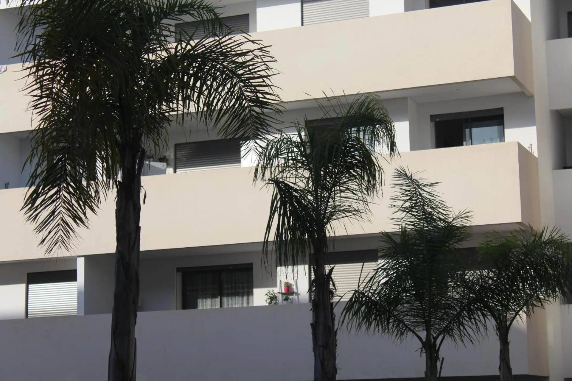 Property building in Paradise Beach