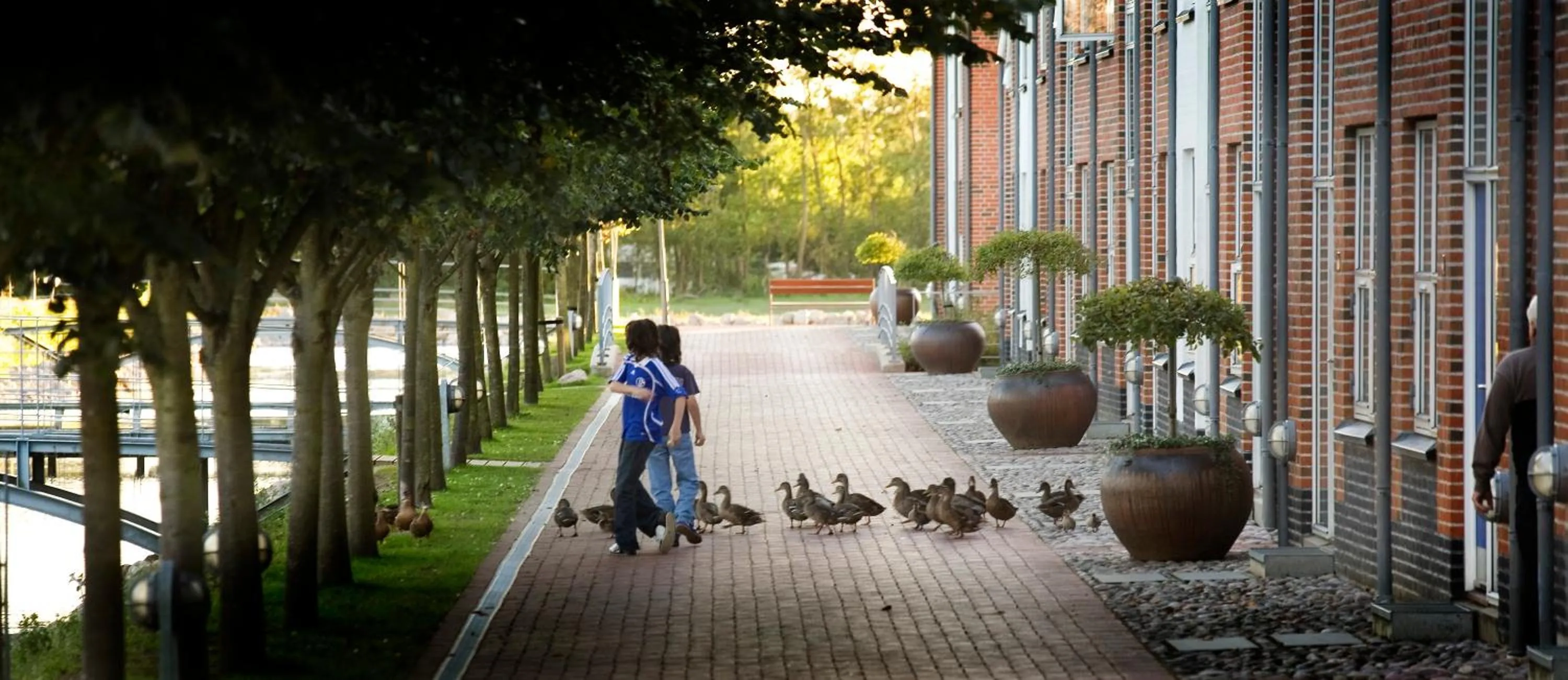 Natural landscape in Ribe Byferie Resort