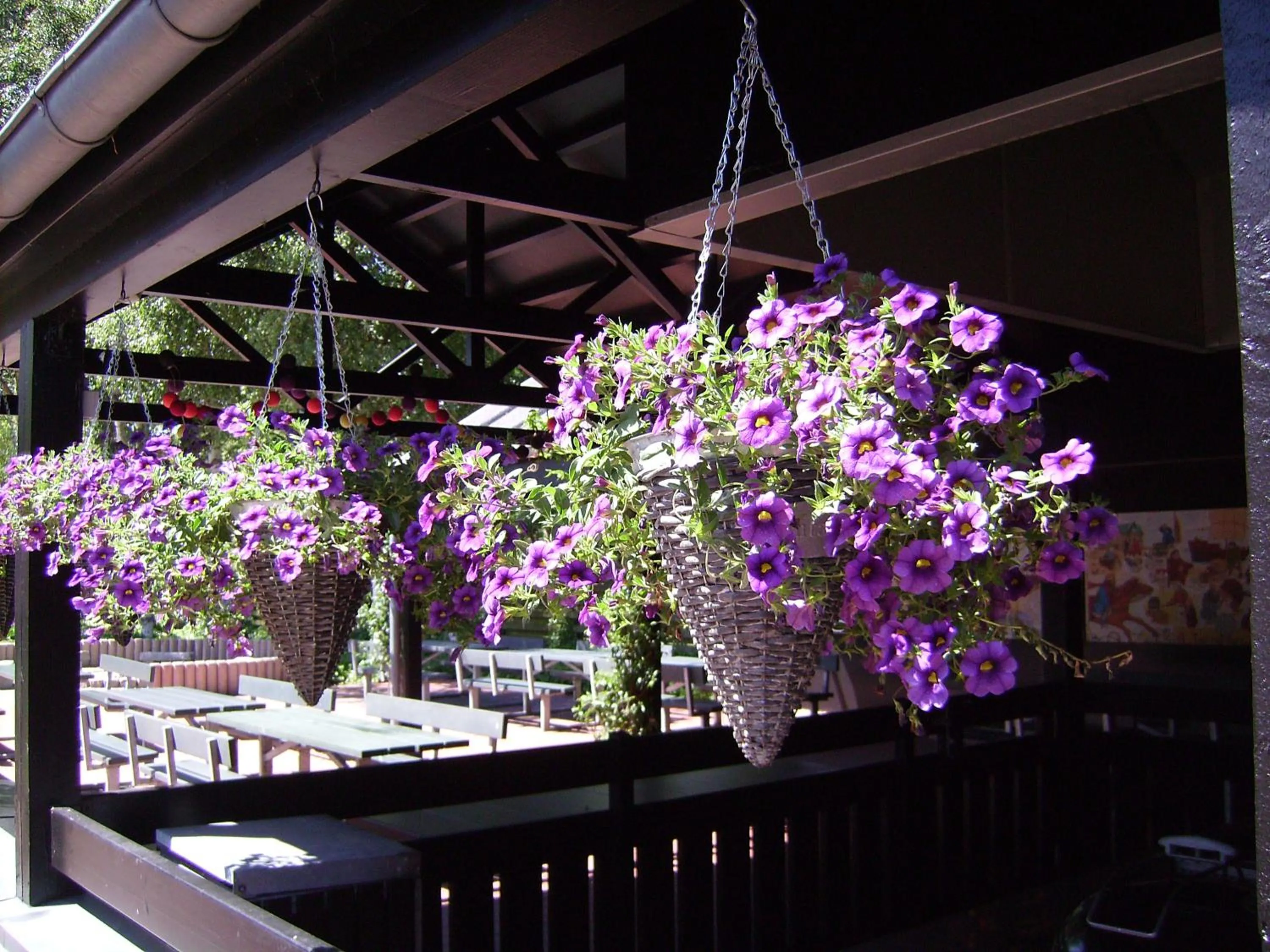 Natural landscape in Ribe Byferie Resort