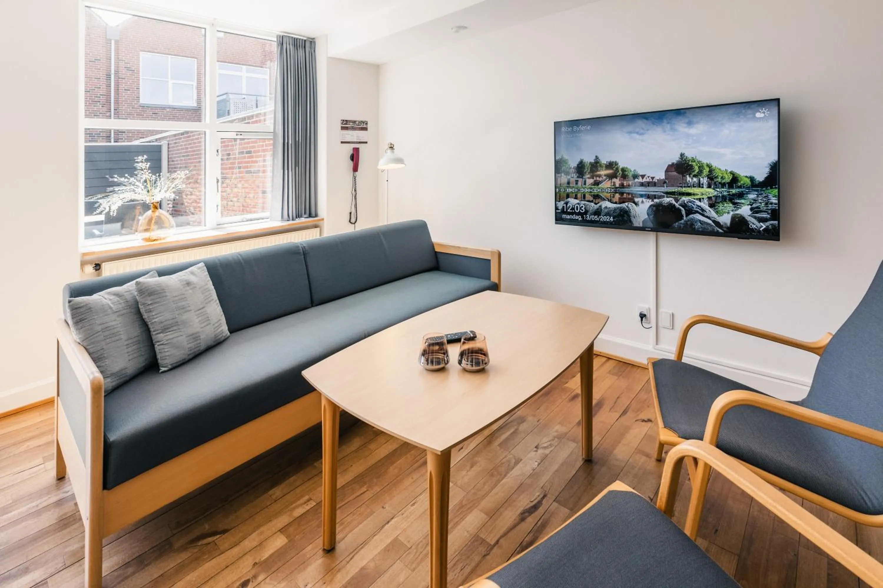 TV and multimedia in Ribe Byferie Resort