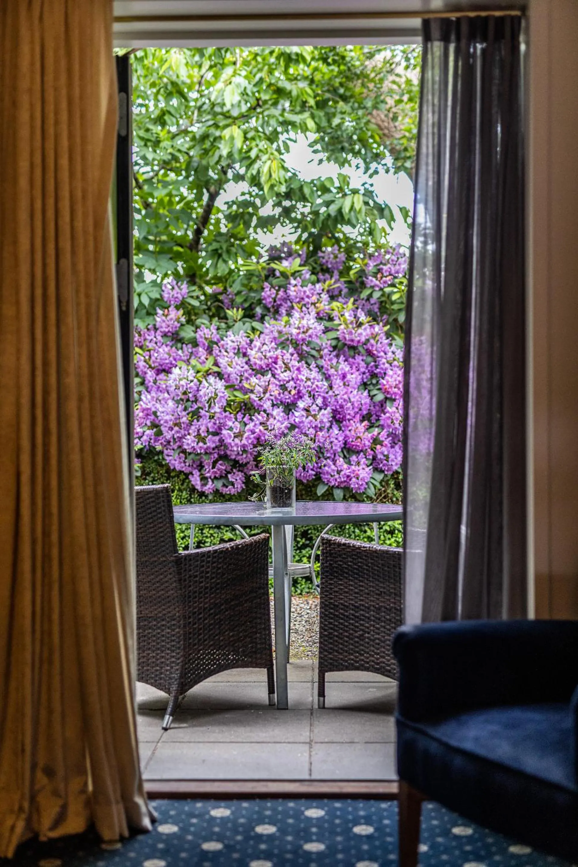 Balcony/Terrace in Hotel Scheelsminde