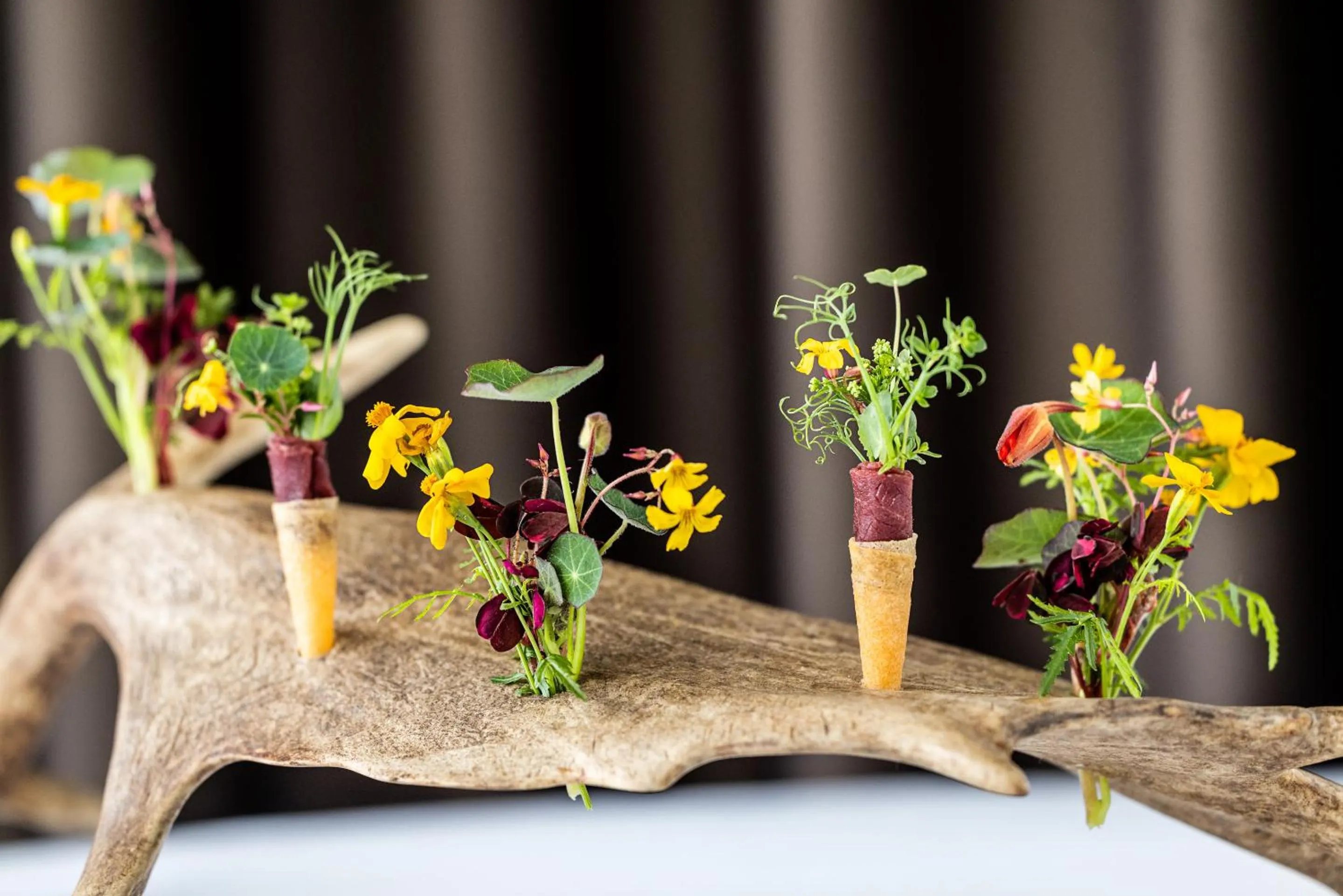 Food in Hotel Scheelsminde